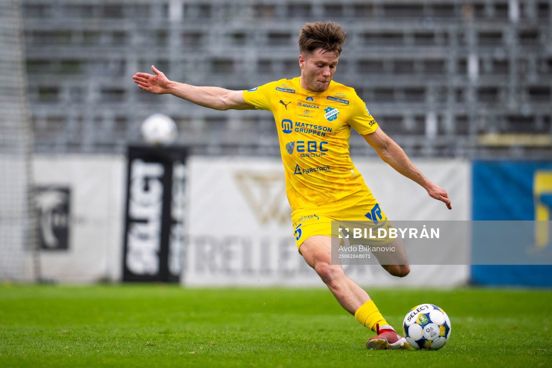 Oddevolds Anton Snibb