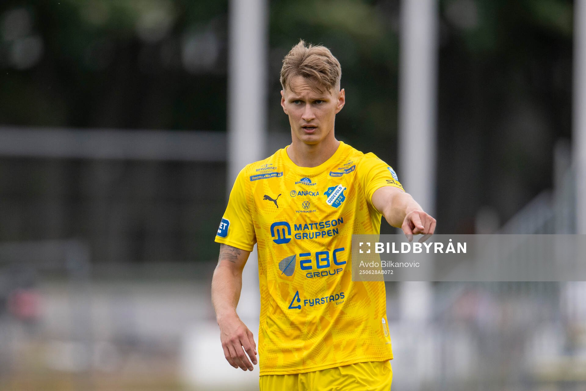 Oddevolds Alexander Almqvist