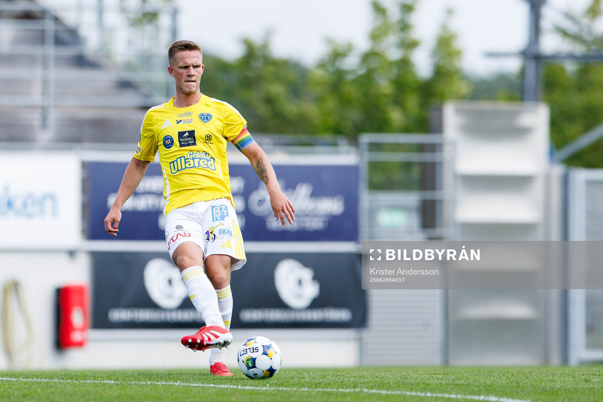 Falkenbergs Tim Stålheden