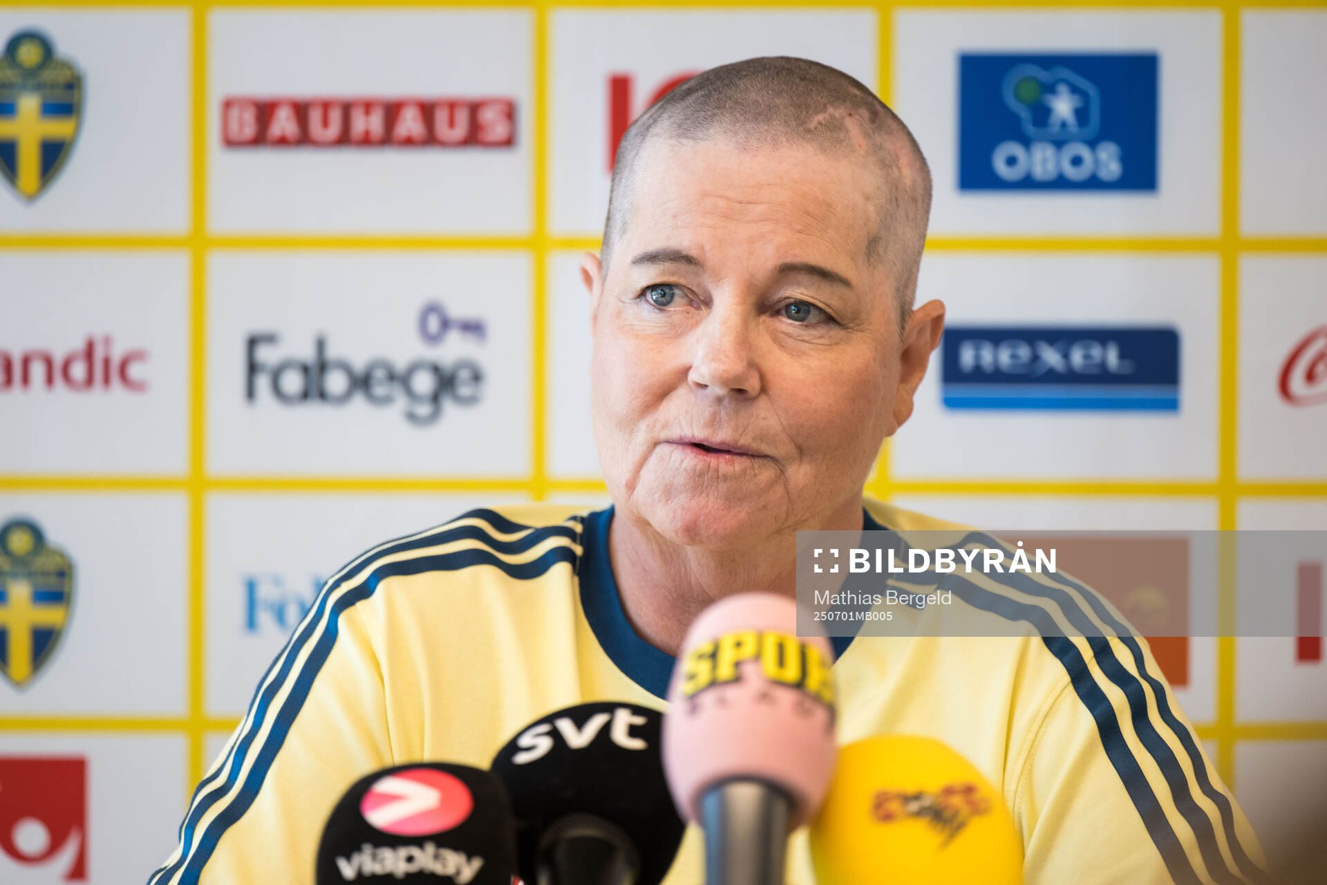 Head of delegation Marika Domanski Lyfors of the Swedish