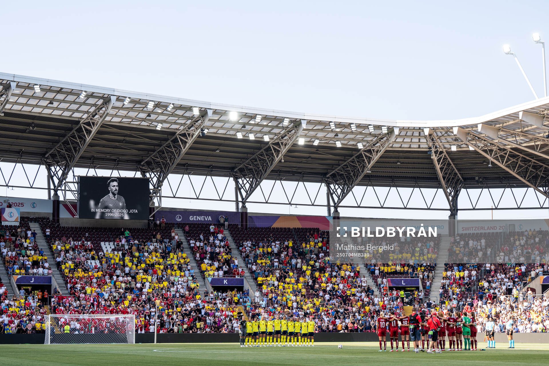 Players of Sweden and of Denmark