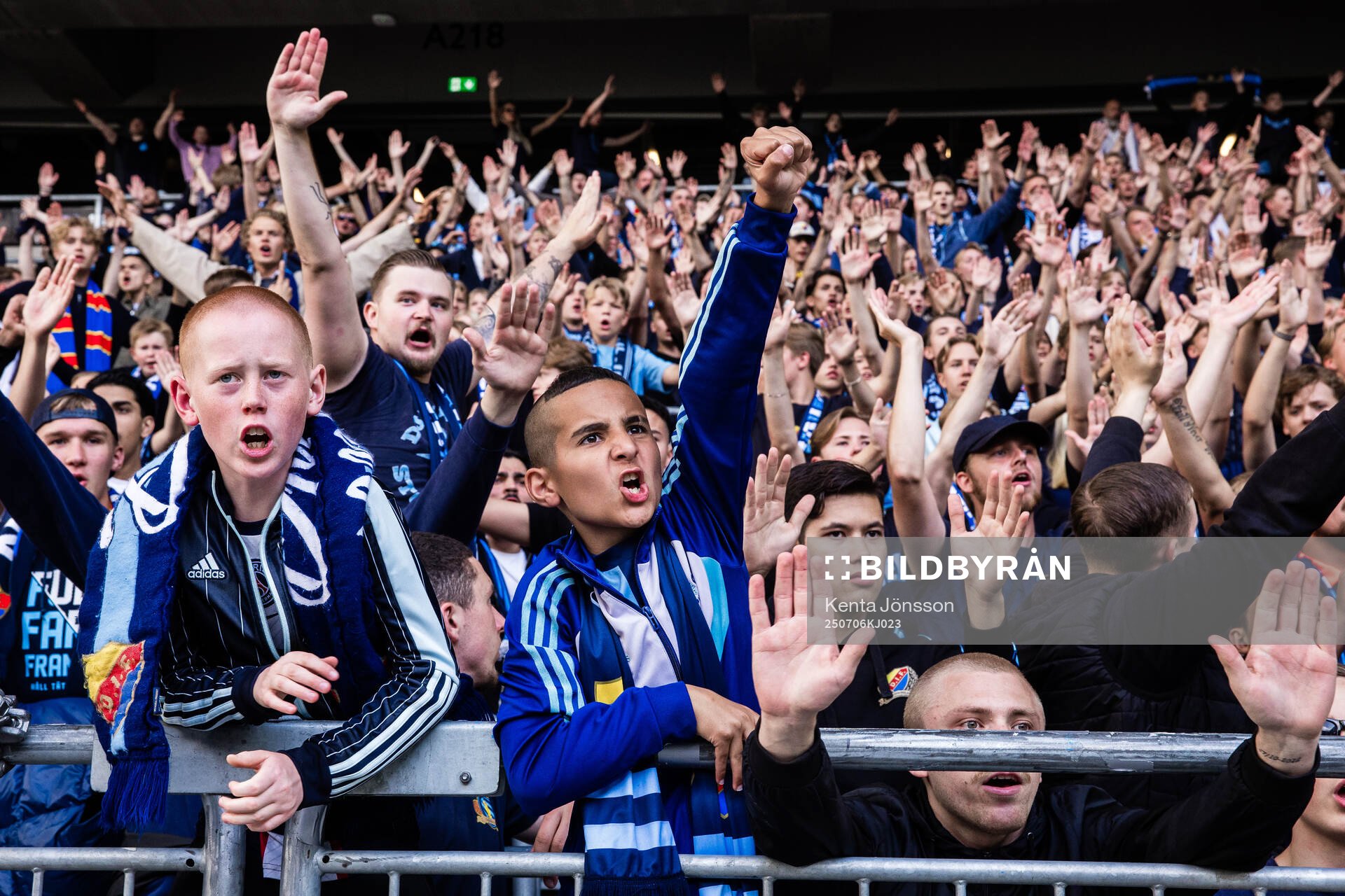 Djurgårdens supportrar