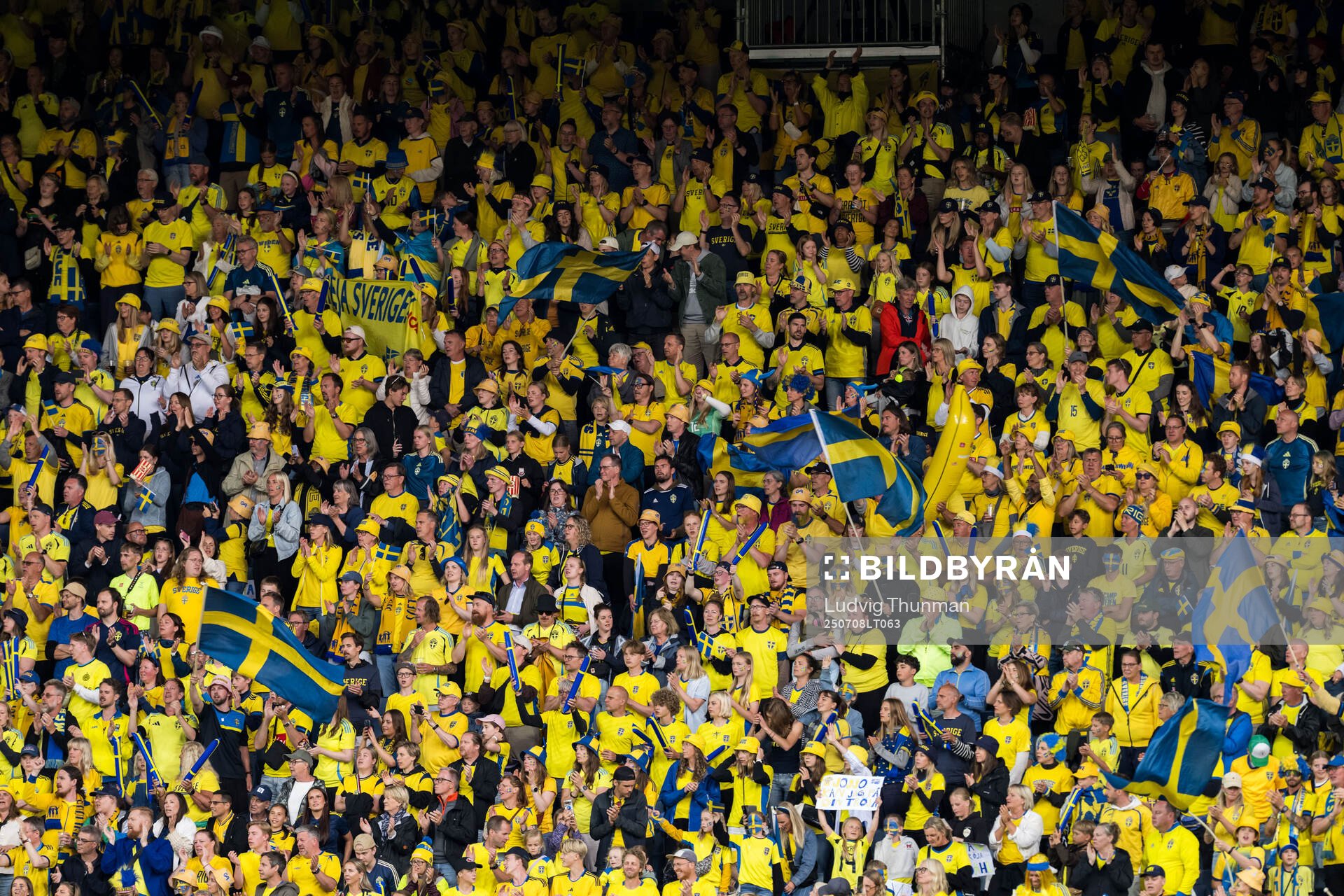 Fans of Sweden in the stands
