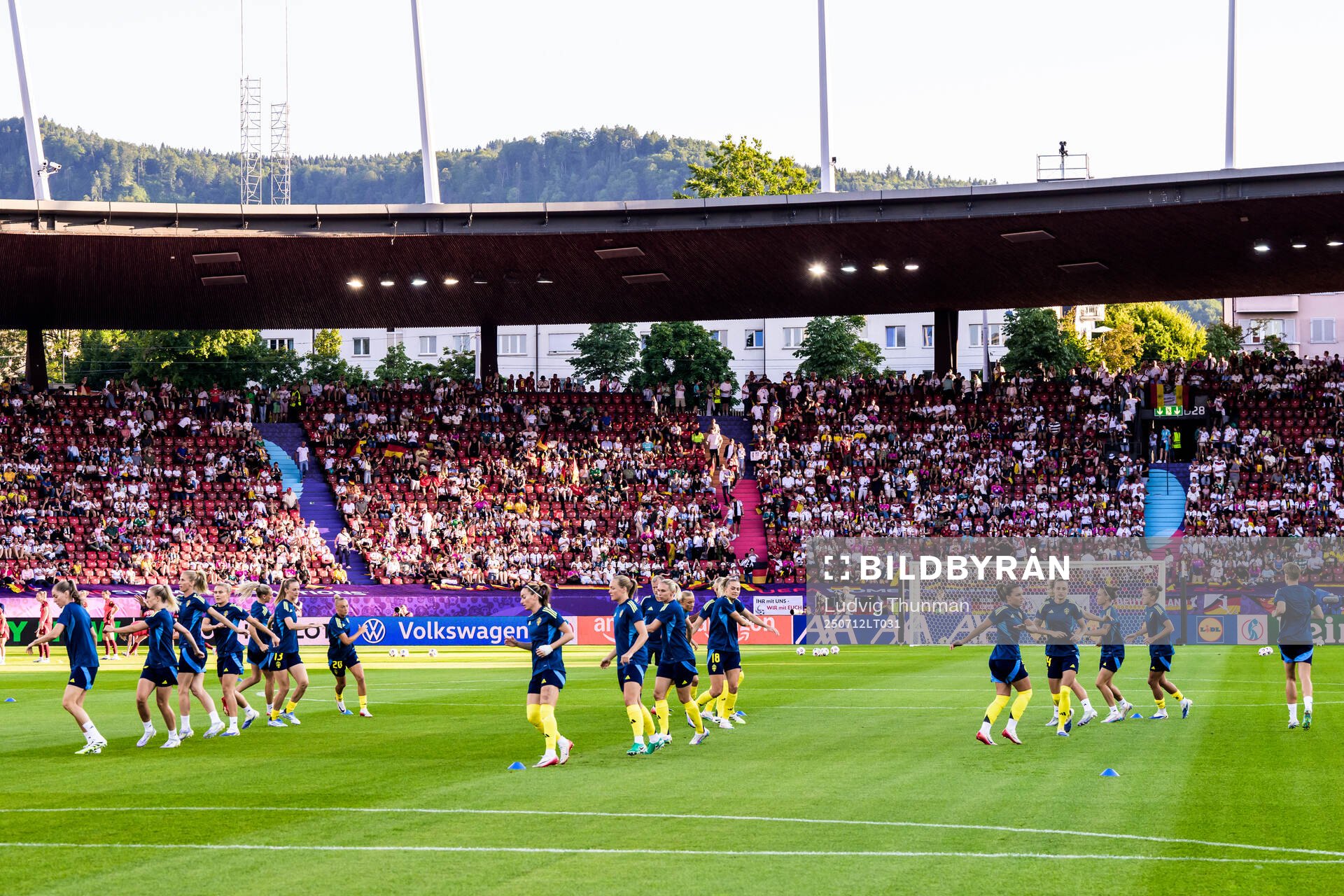 Players of Sweden