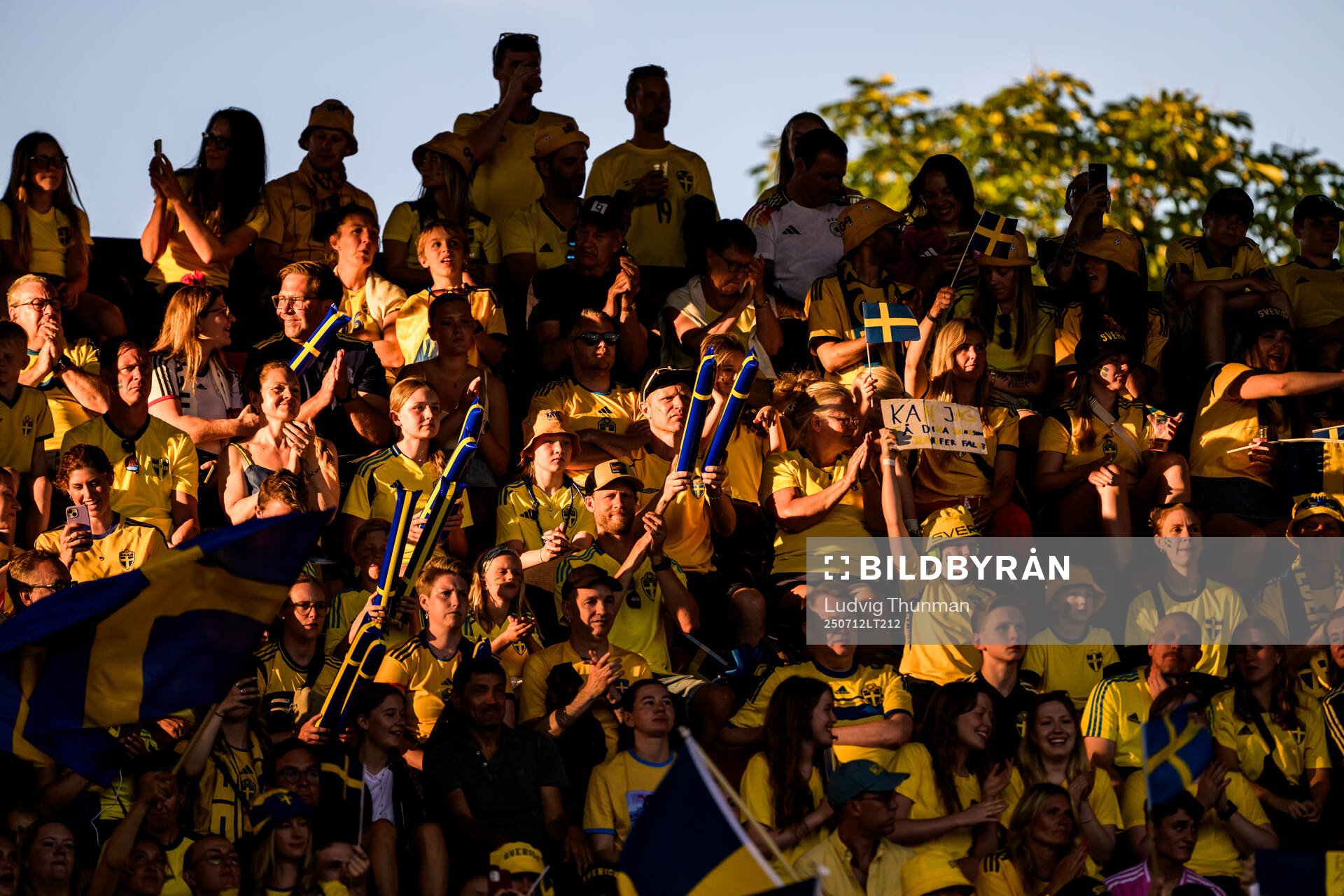 Supporters of Sweden
