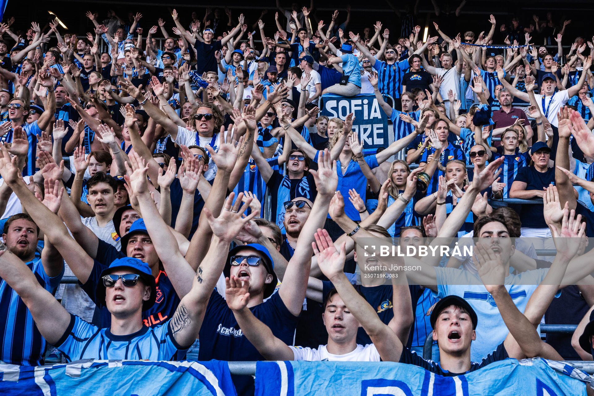 Djurgårdens supportrar