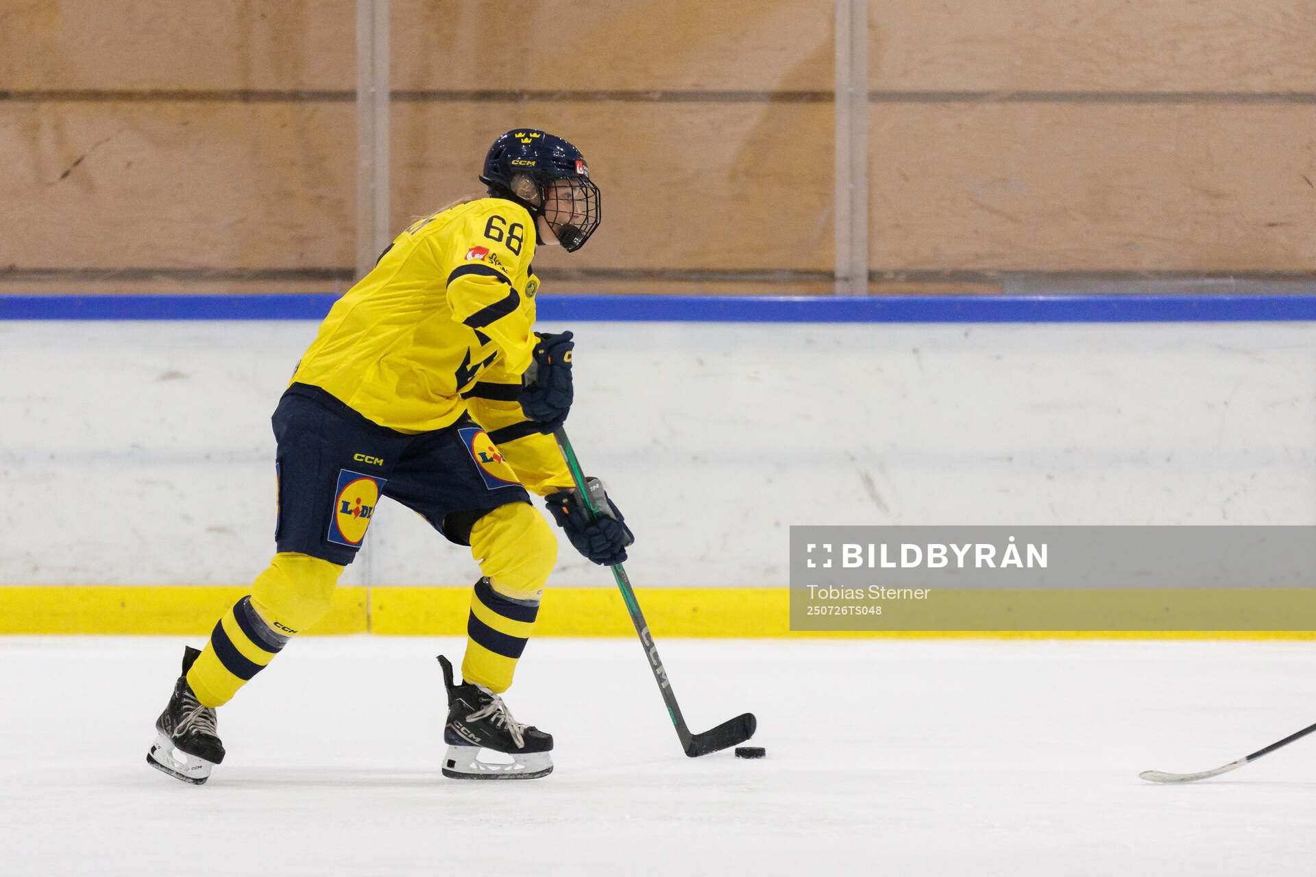 Isabelle Leijonhielm