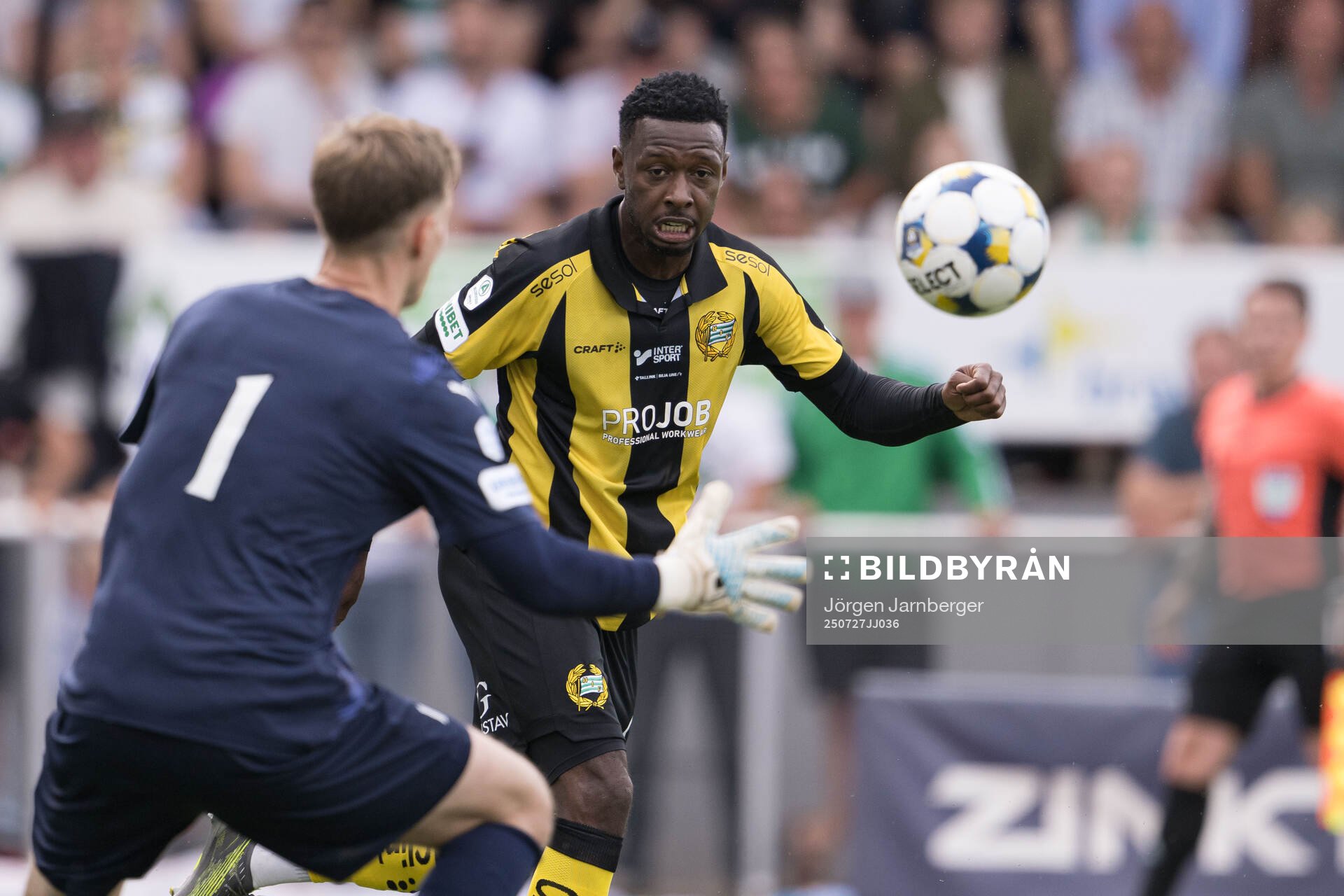 Hammarbys Shaquille Pinas