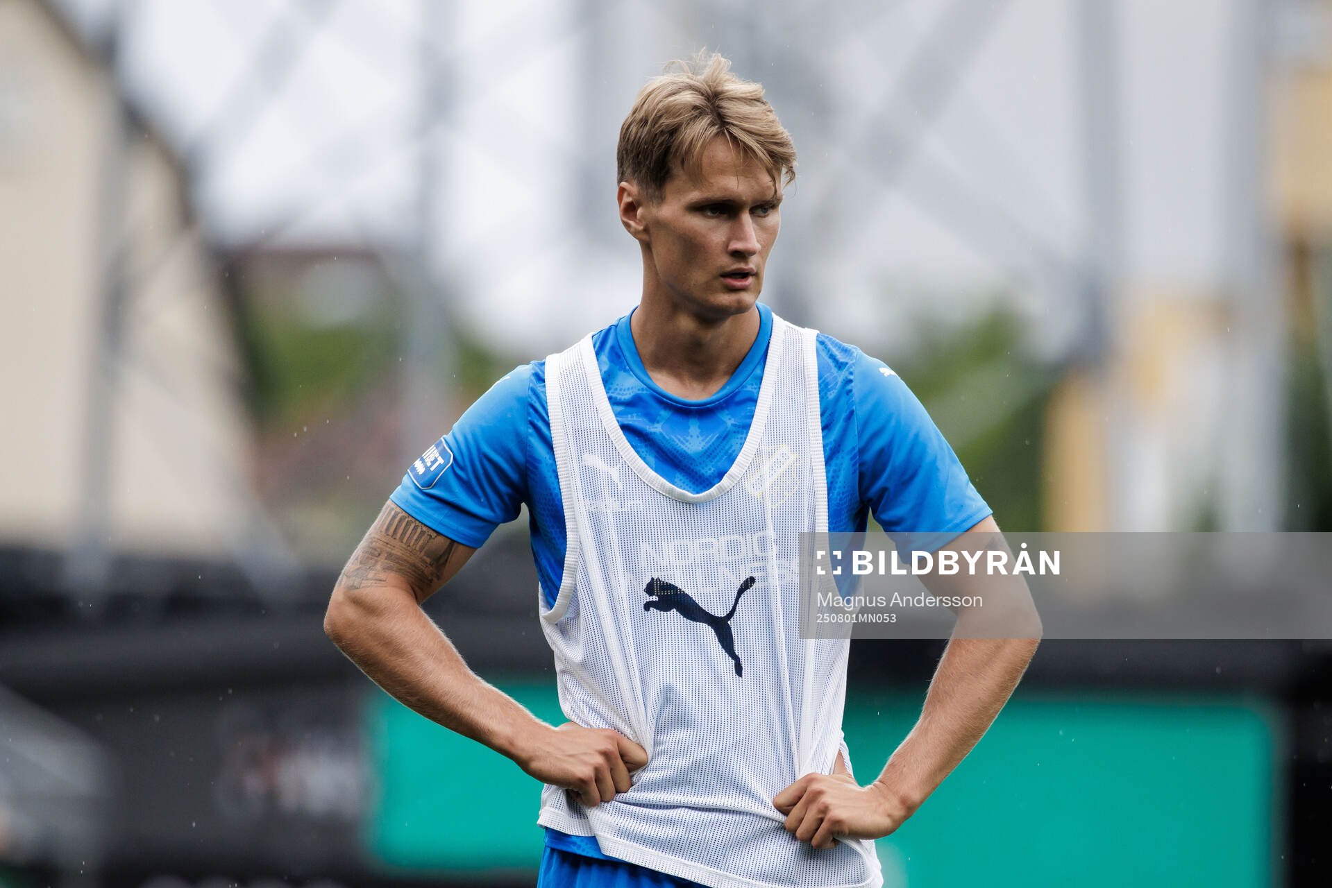 Oddevolds Alexander Almqvist