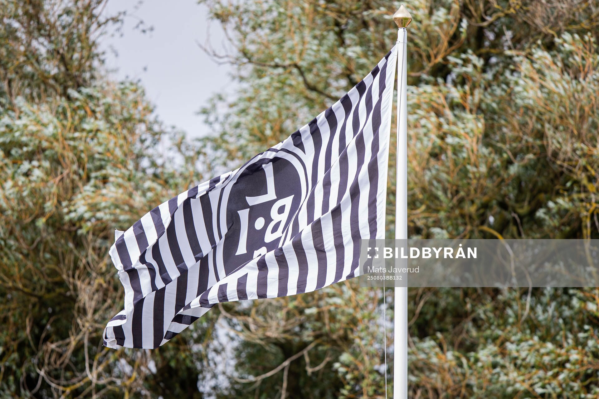 Landskronas flagga