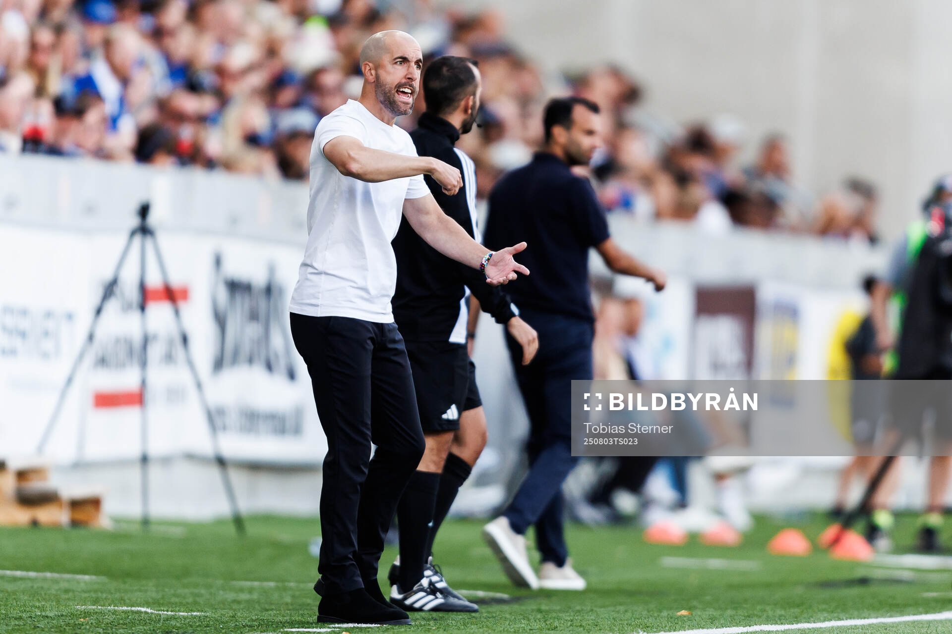 Östers tränare Martin Foyston