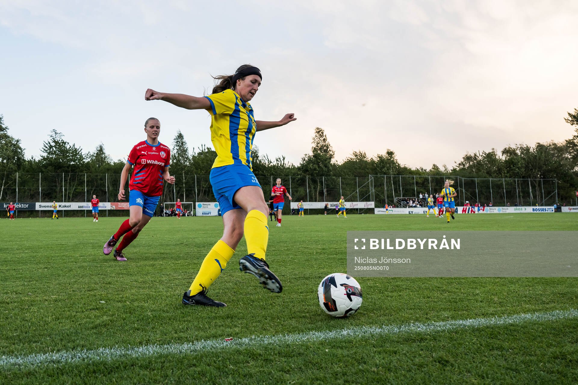 Eskilsminnes Louise Hayden