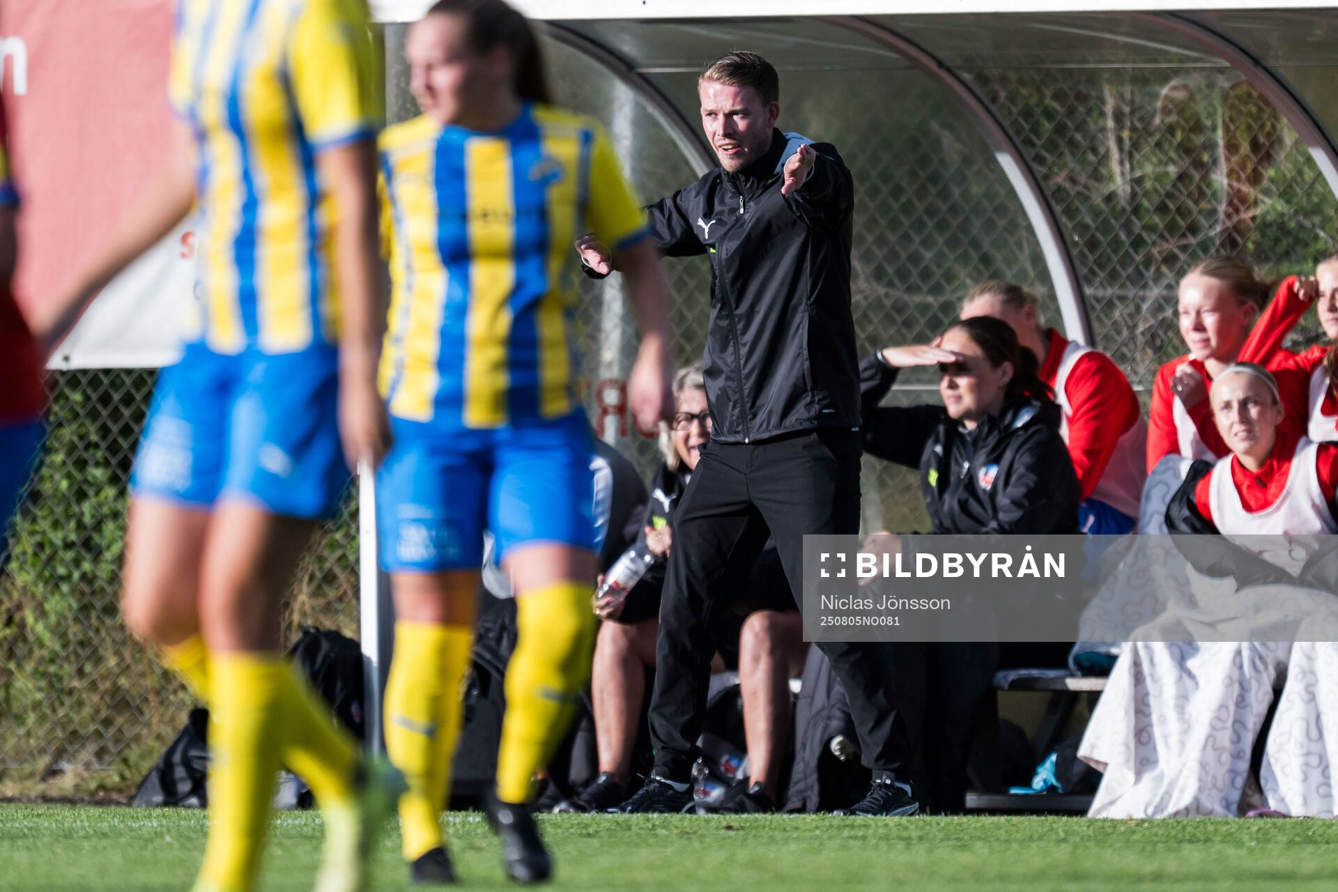 Helsingborgs tränare Kristoffer Schönbeck