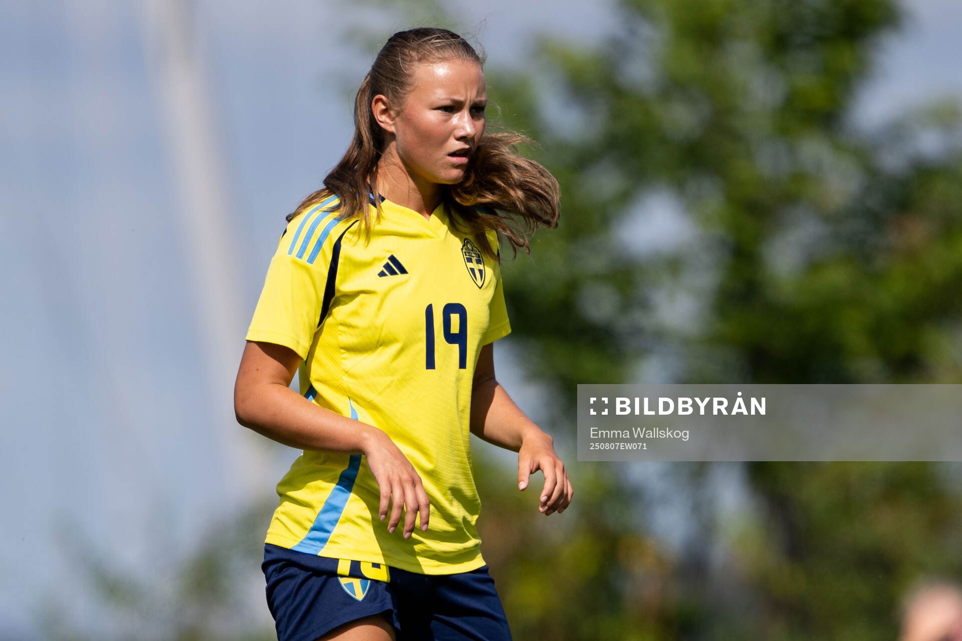 Nora Sandberg