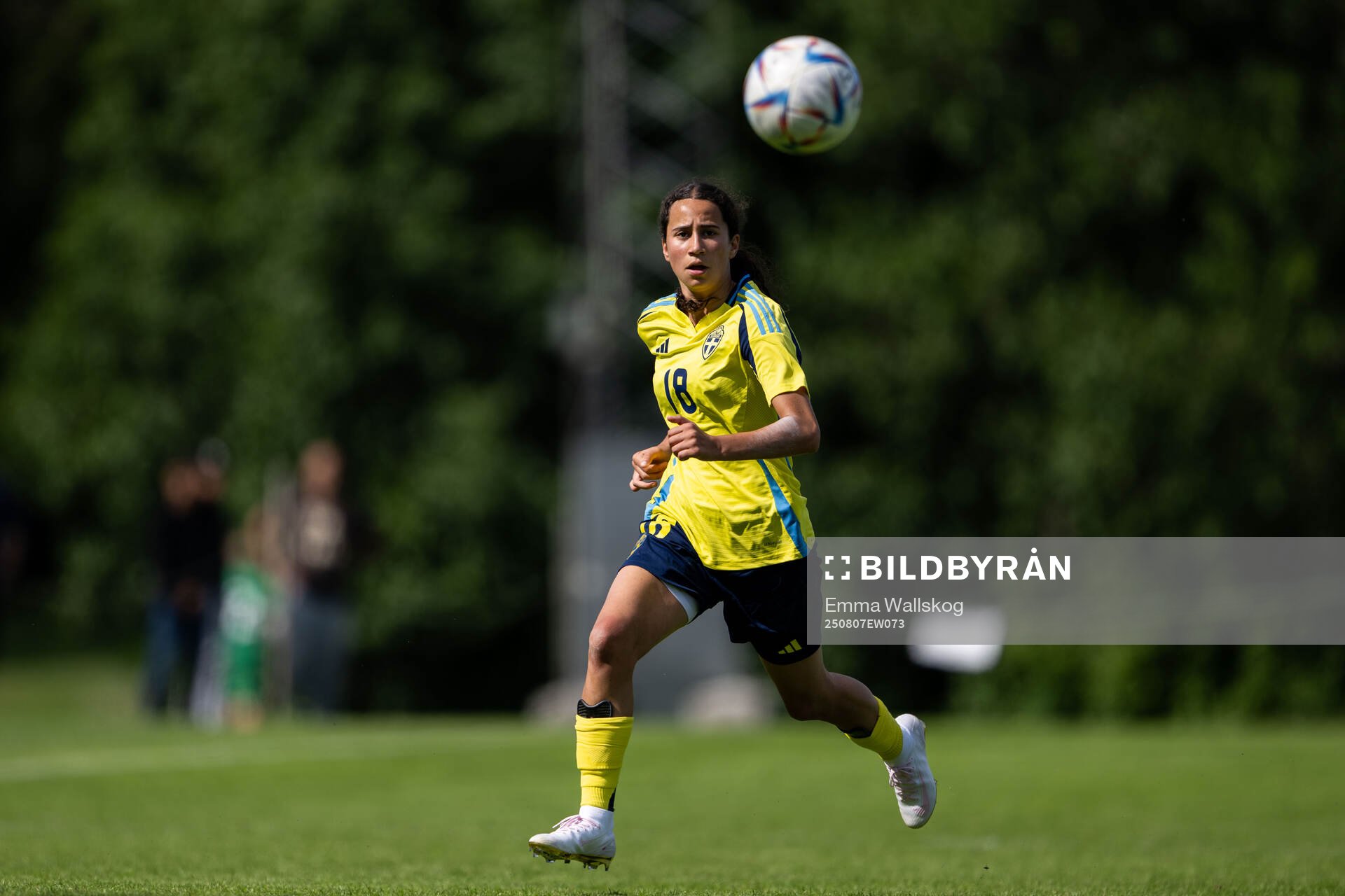 Mayar Khatawi