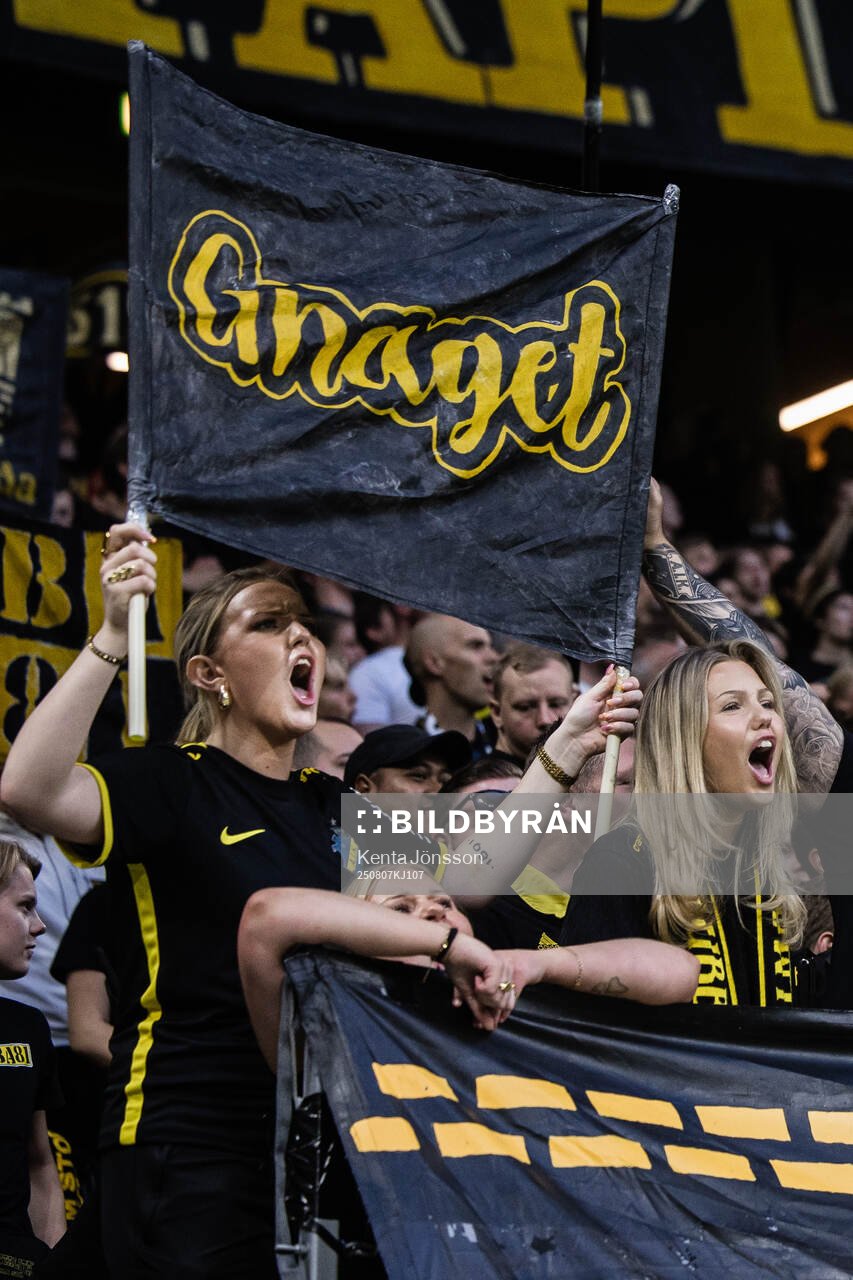 Fans of AIK