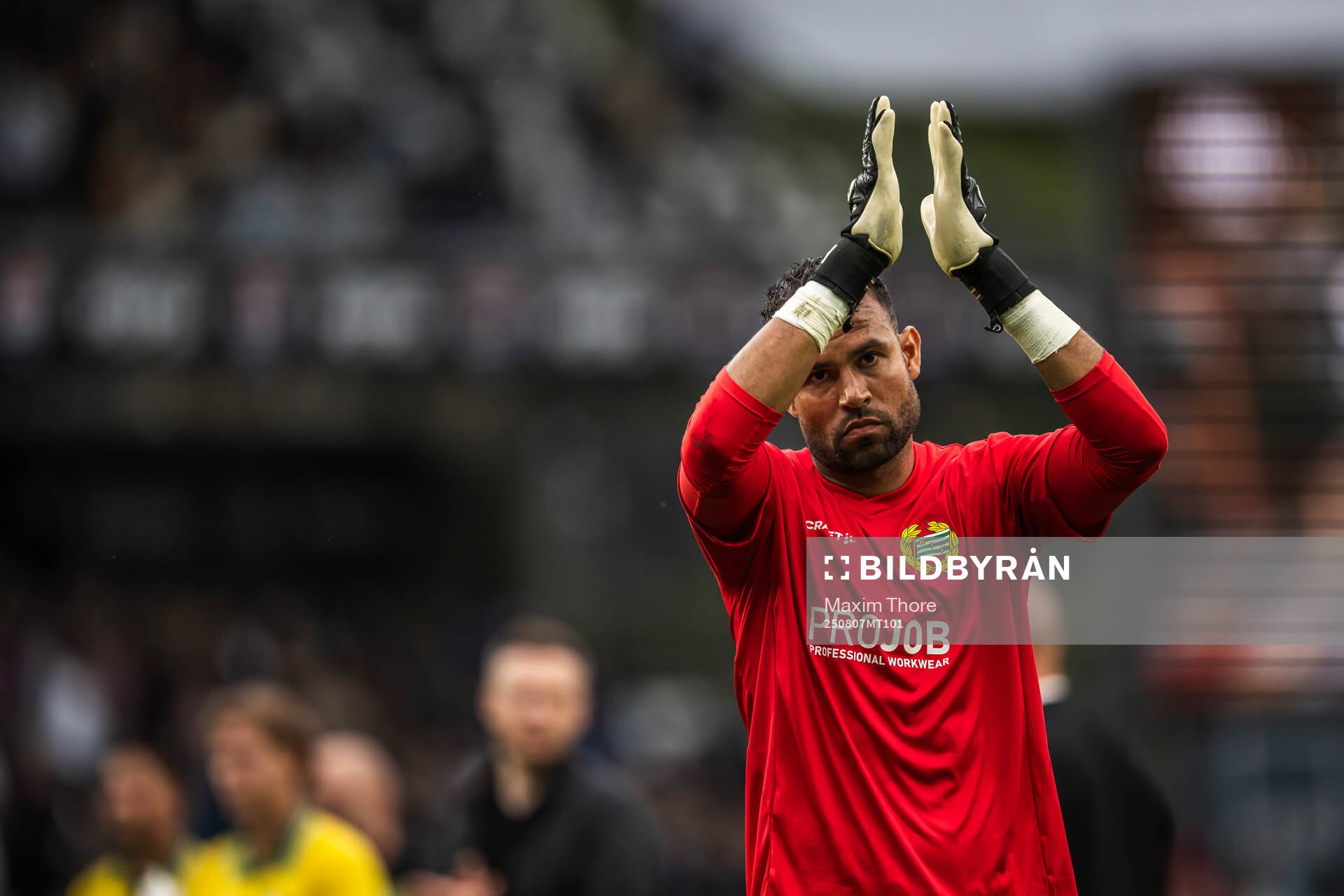 Goalkeeper Warner Hahn of Hammarby