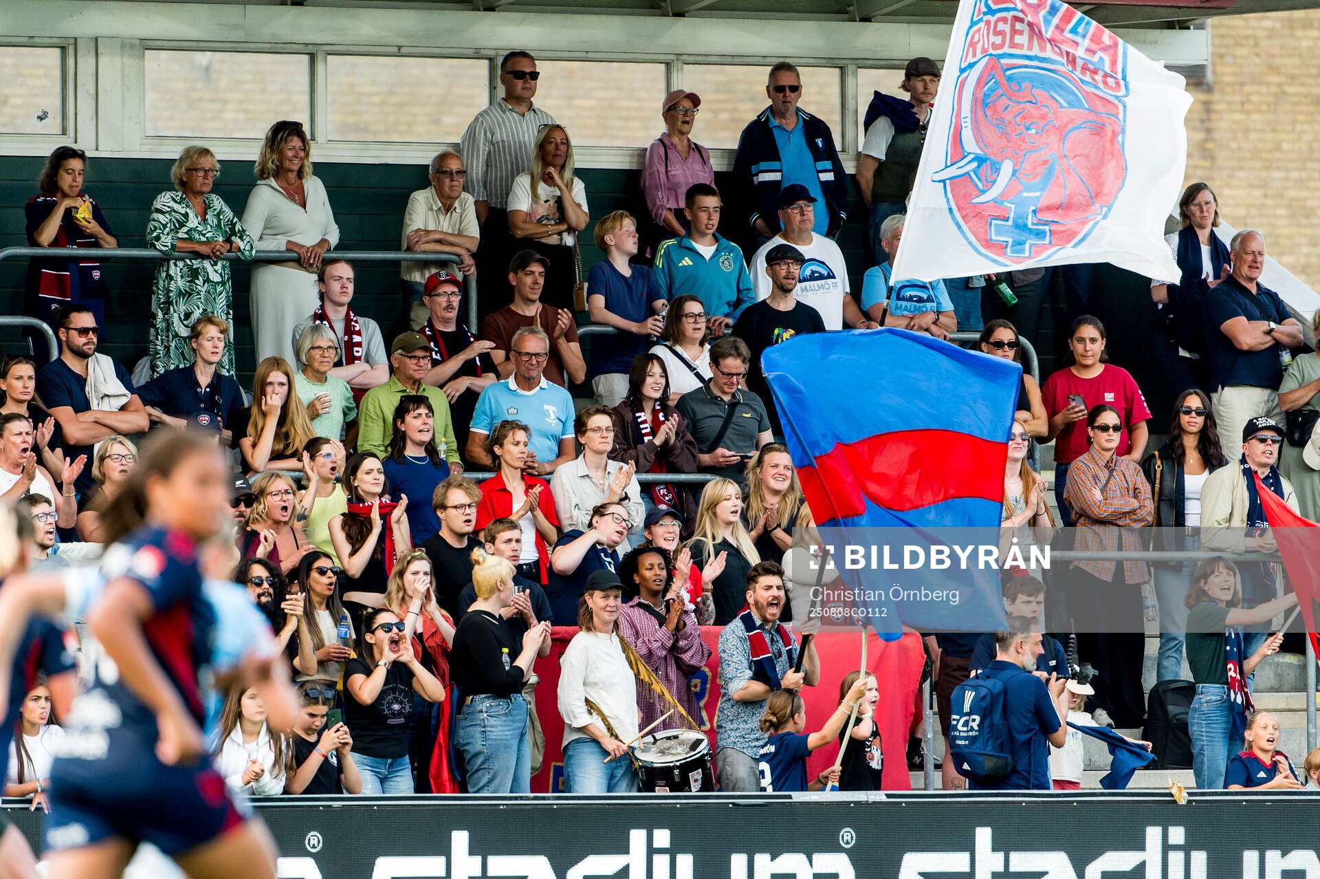Rosengårds supportrar
