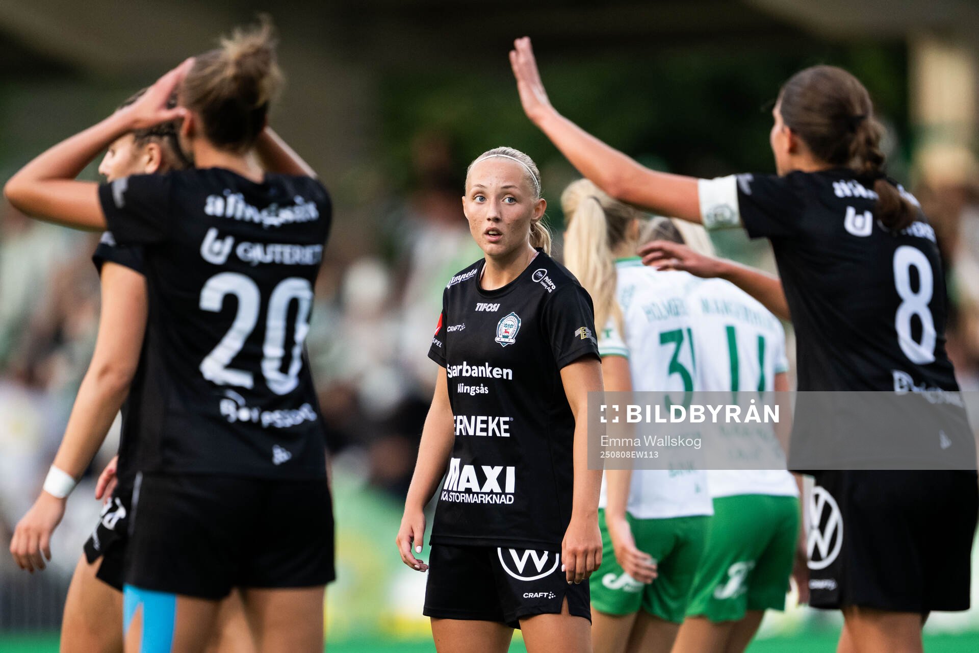 Alingsås Saga Fredgren
