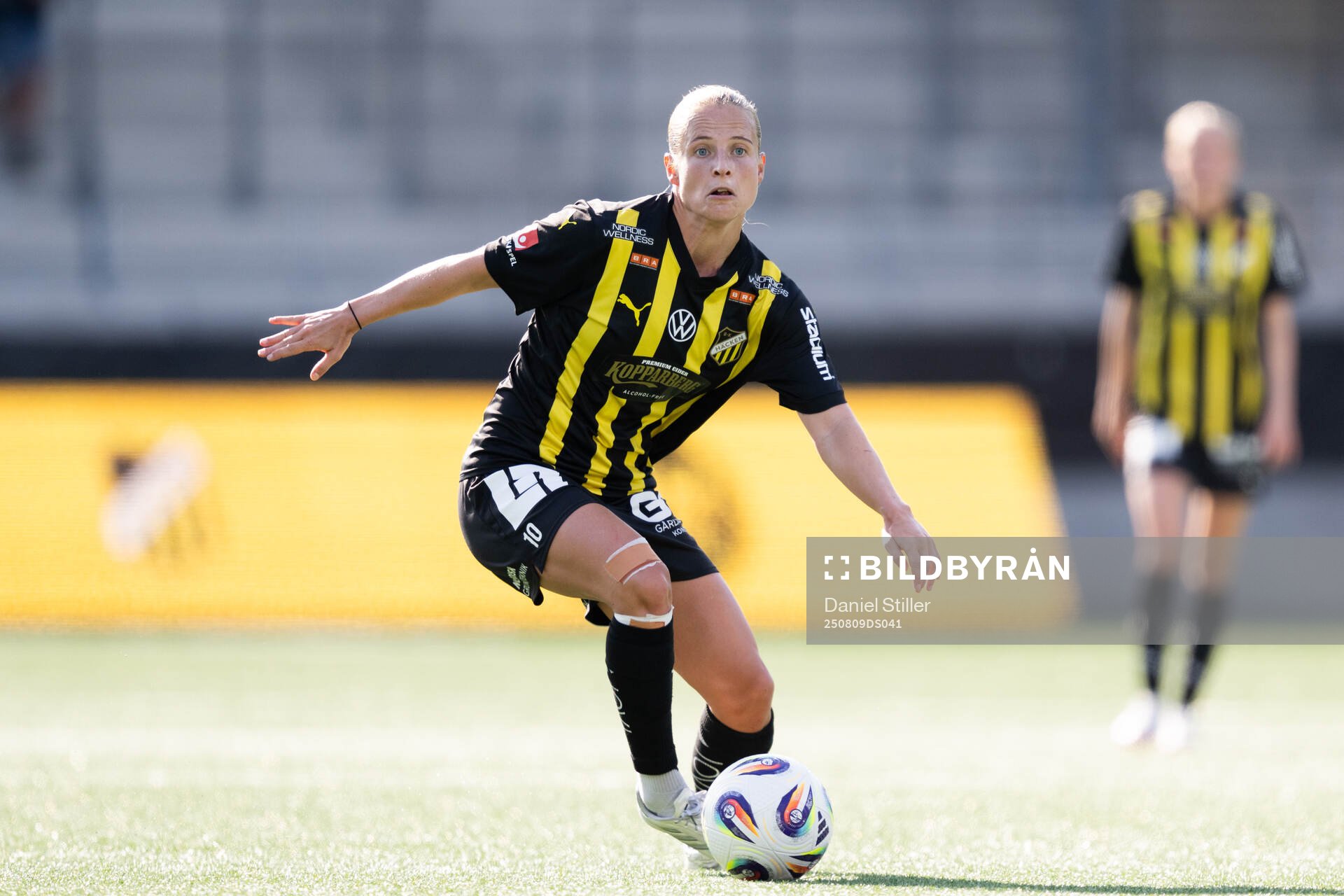 Häckens Anna Anvegård