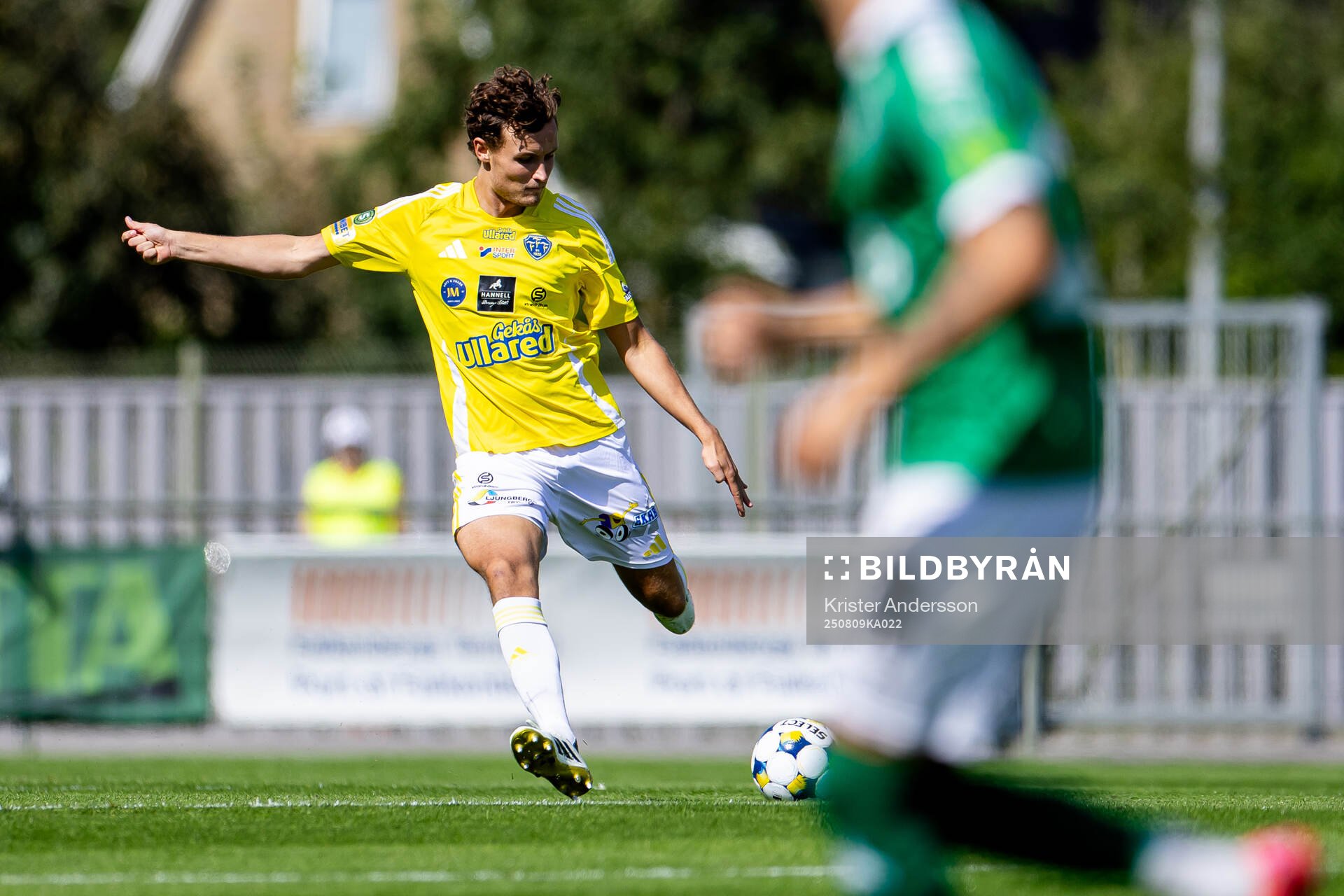 Falkenbergs Alexander Salo