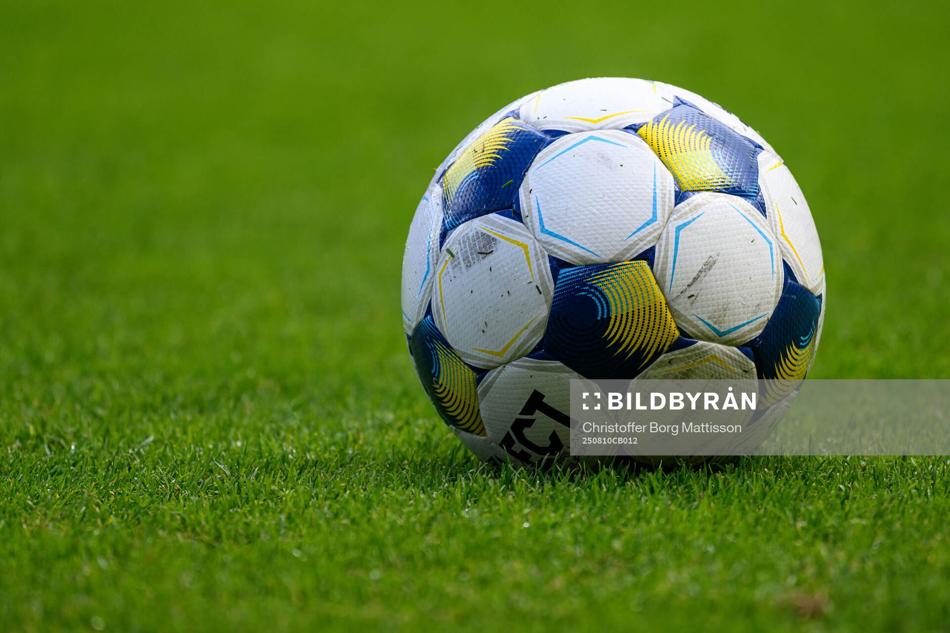 En fotboll på gräsmattan