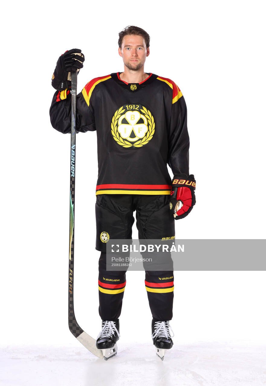 Brynäs Christian Djoos