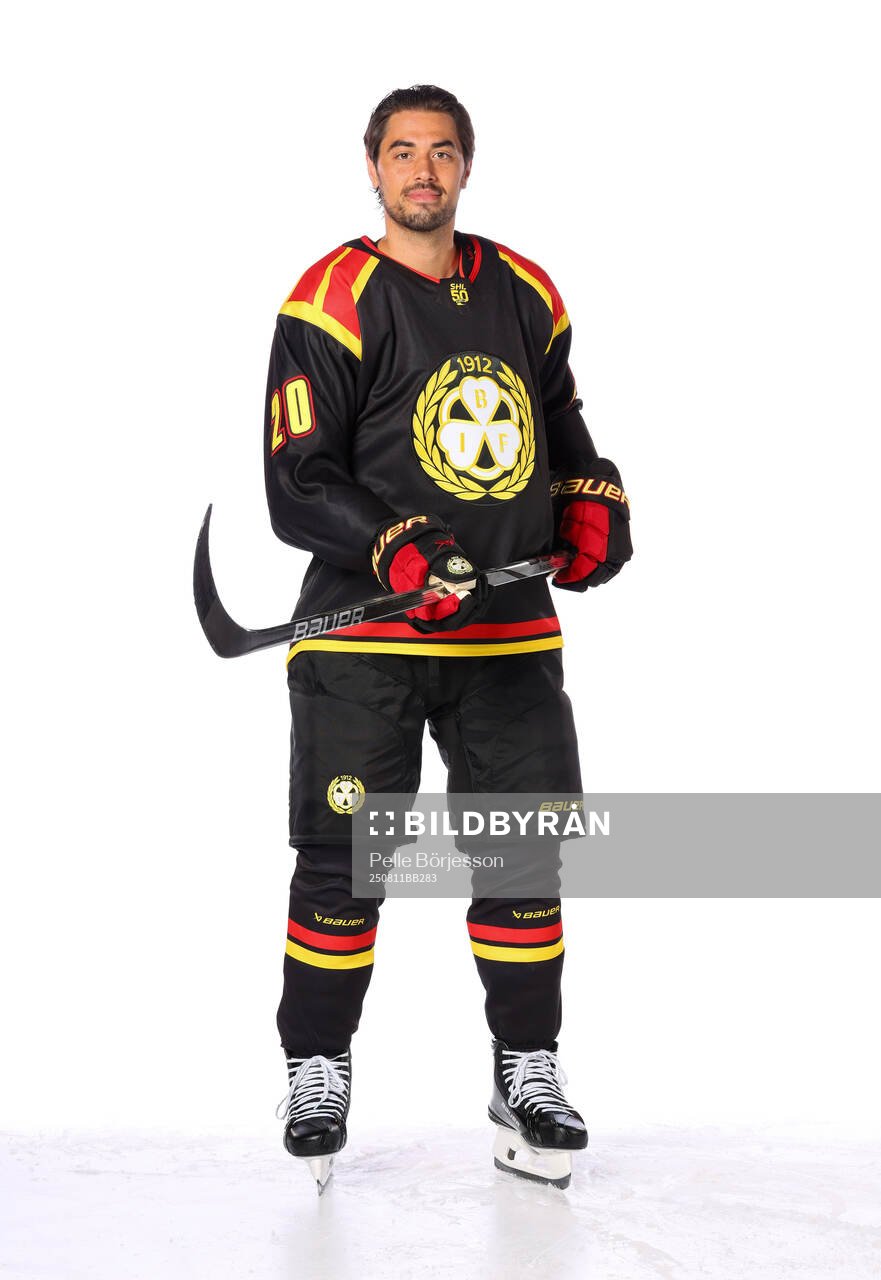Brynäs Tyler Vesel