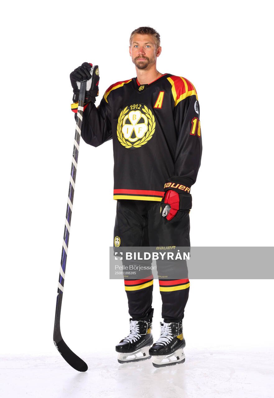 Brynäs Anton Rödin