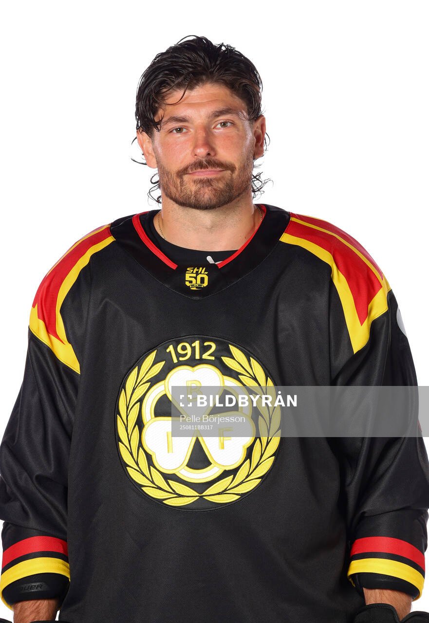 Brynäs Michal Kempny