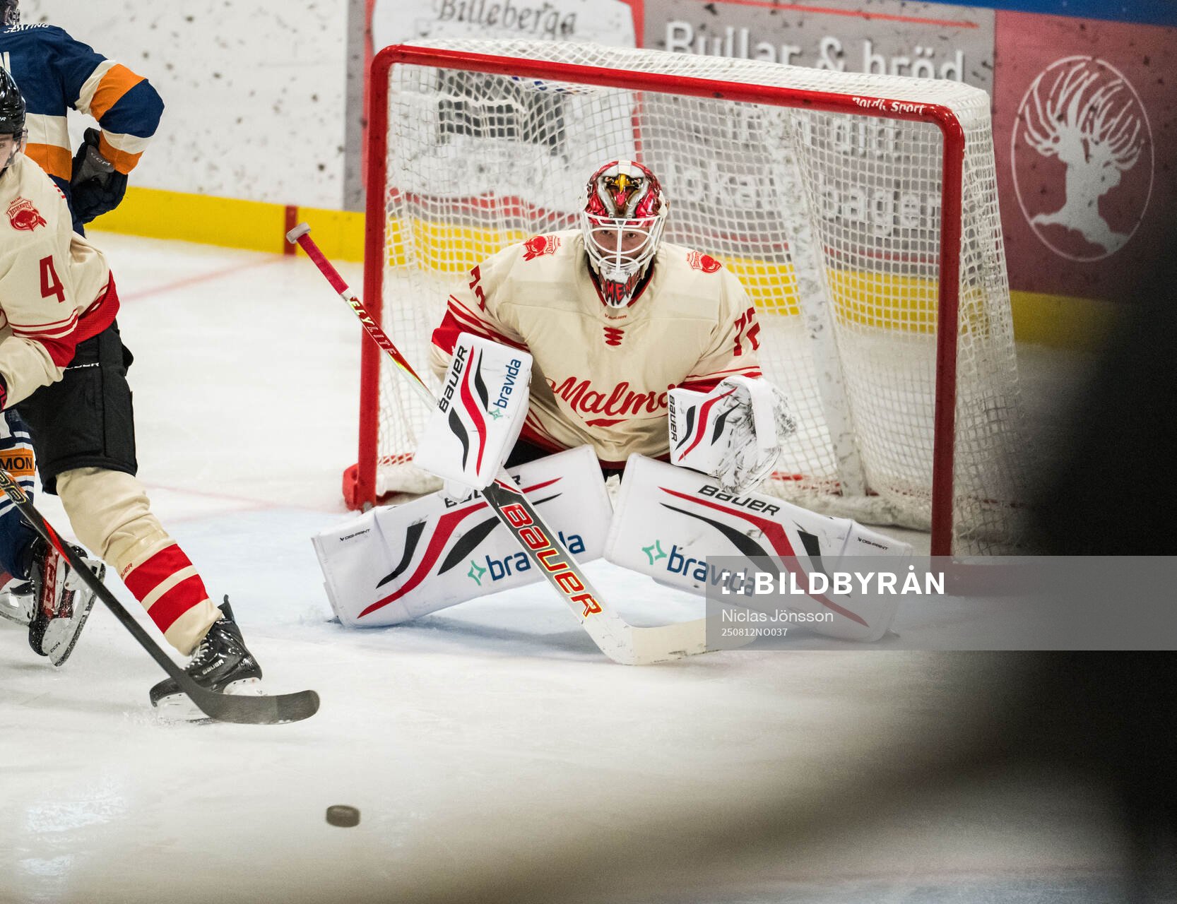 Malmö Redhawks Daniel Marmenlind