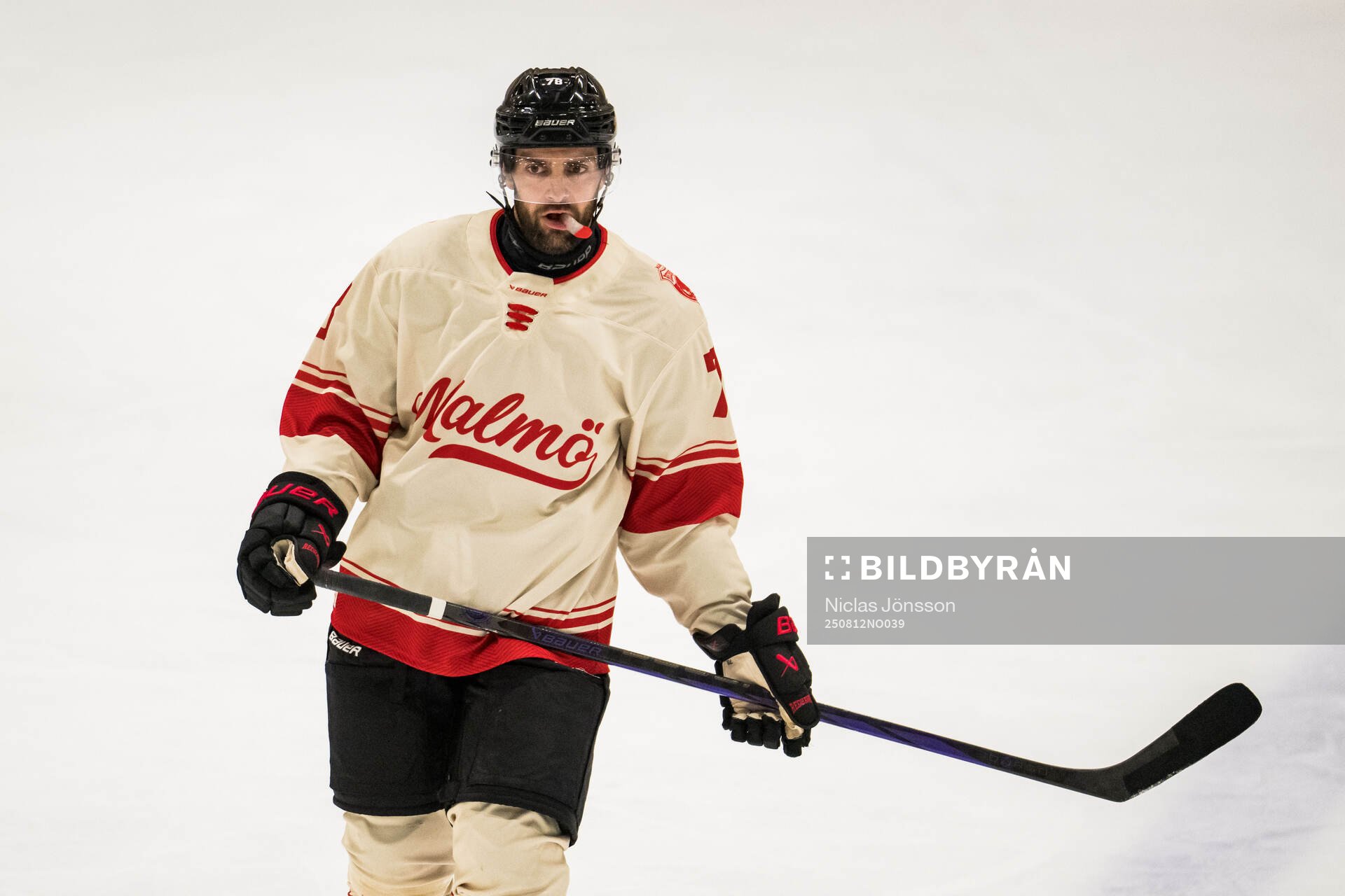 Malmö Redhawks Robin Hanzl