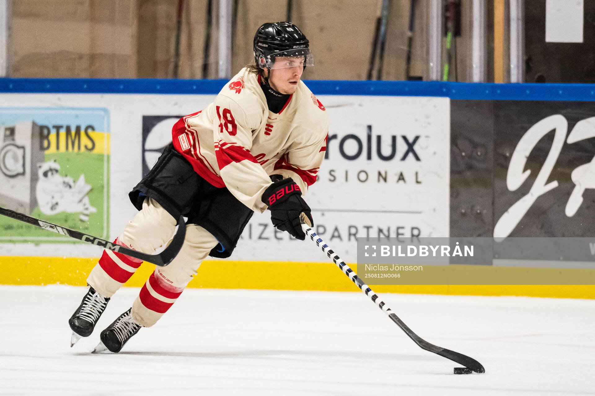 Malmö Redhawks Lauri Pajuniemi