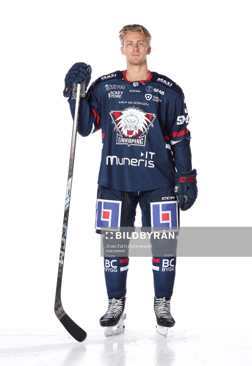Linköpings Johan Södergran