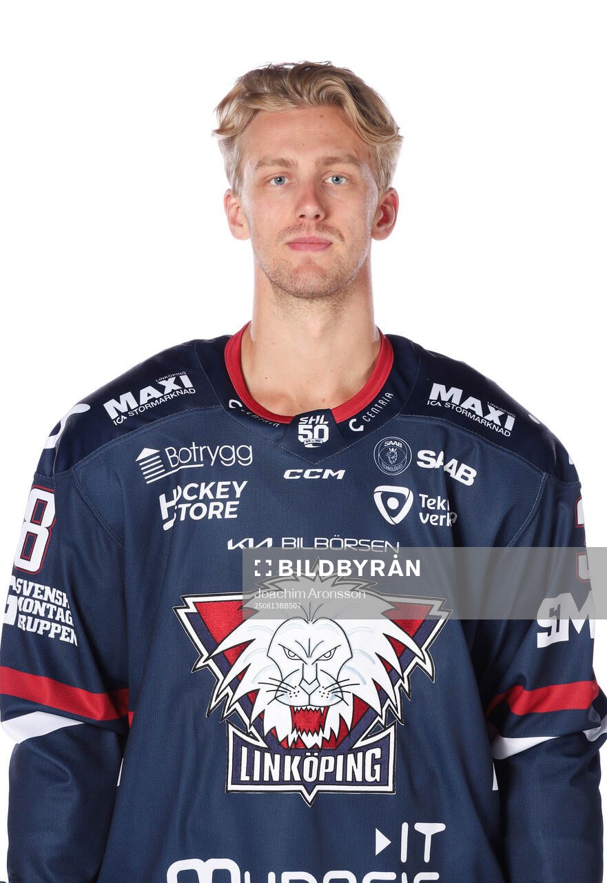 Linköpings Johan Södergran