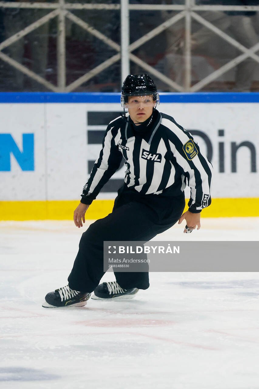 Domare William Henriksson