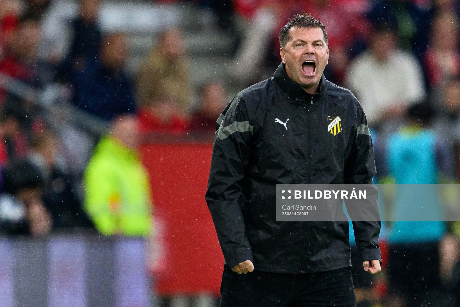 Coach Jens Gustafsson of Häcken