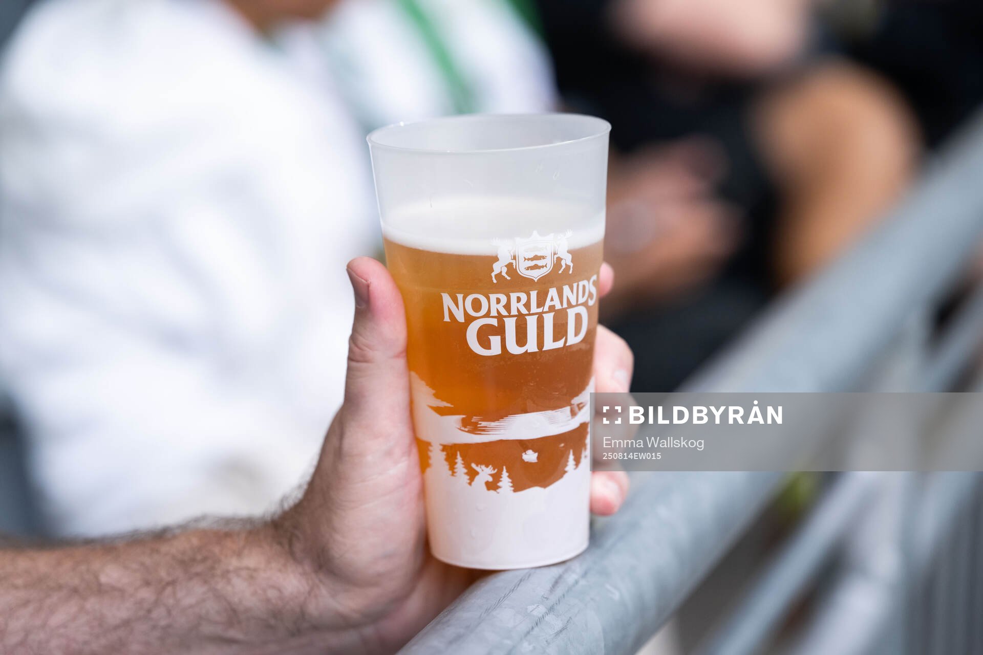 A beer in a plastic cup