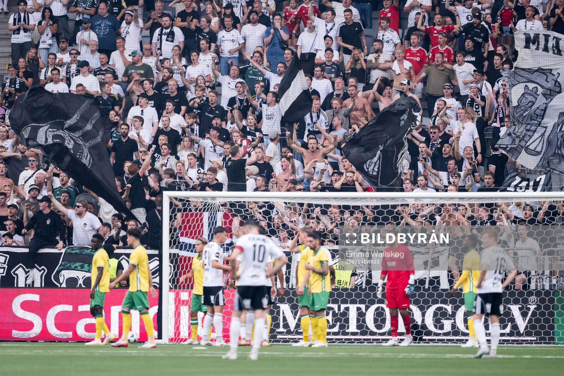 Fans of Rosenborg