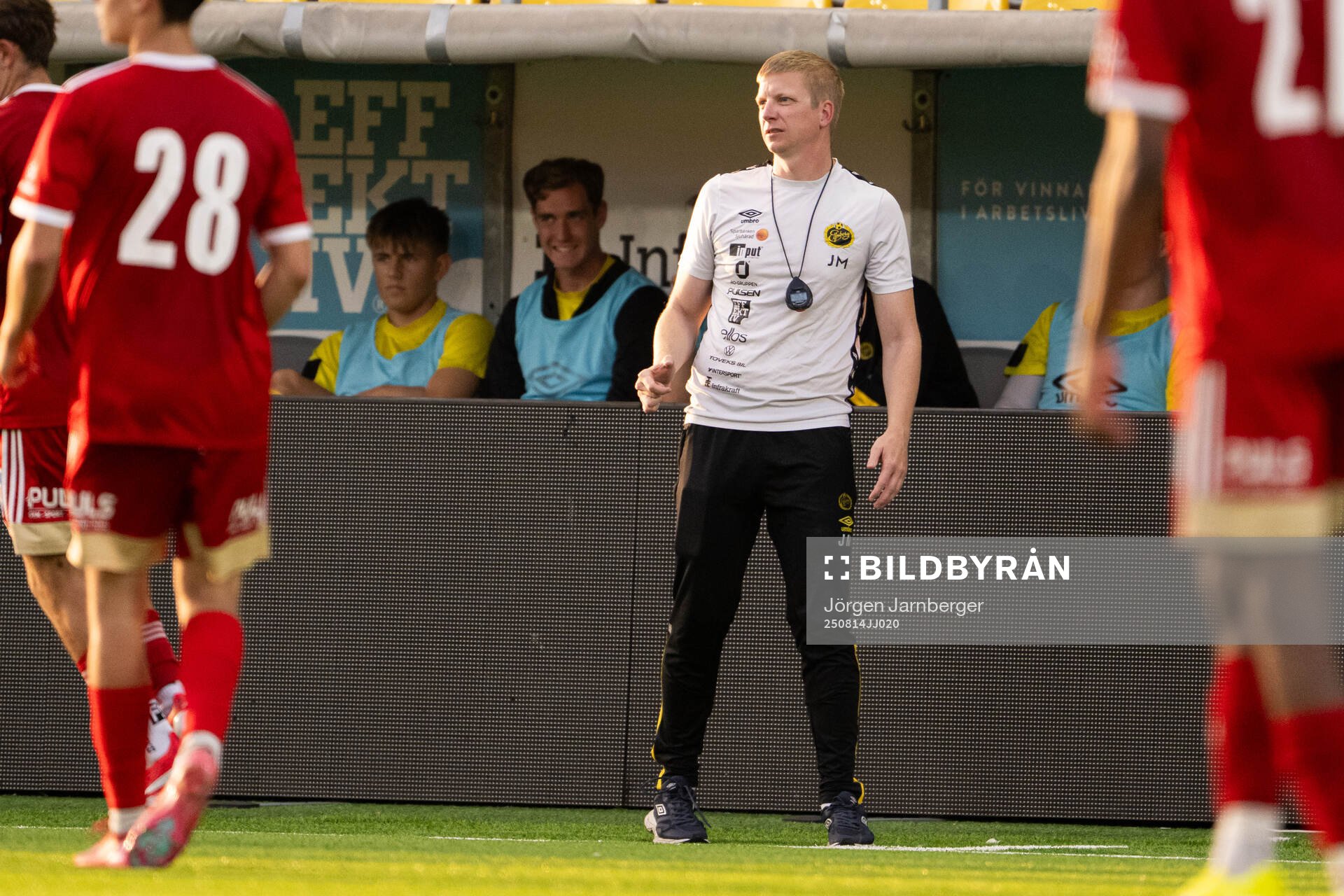 Elfsborgs tränare Johan Mattsson