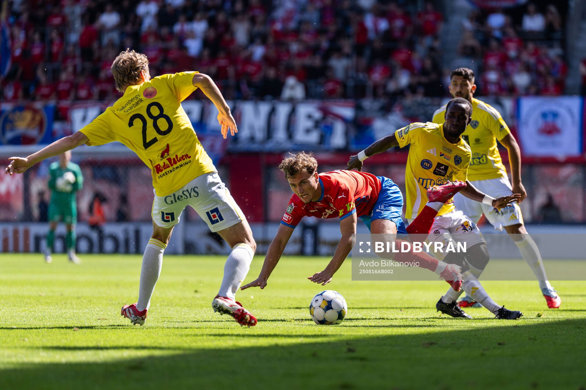 Helsingborgs Casper Ljung Hofvendahl
