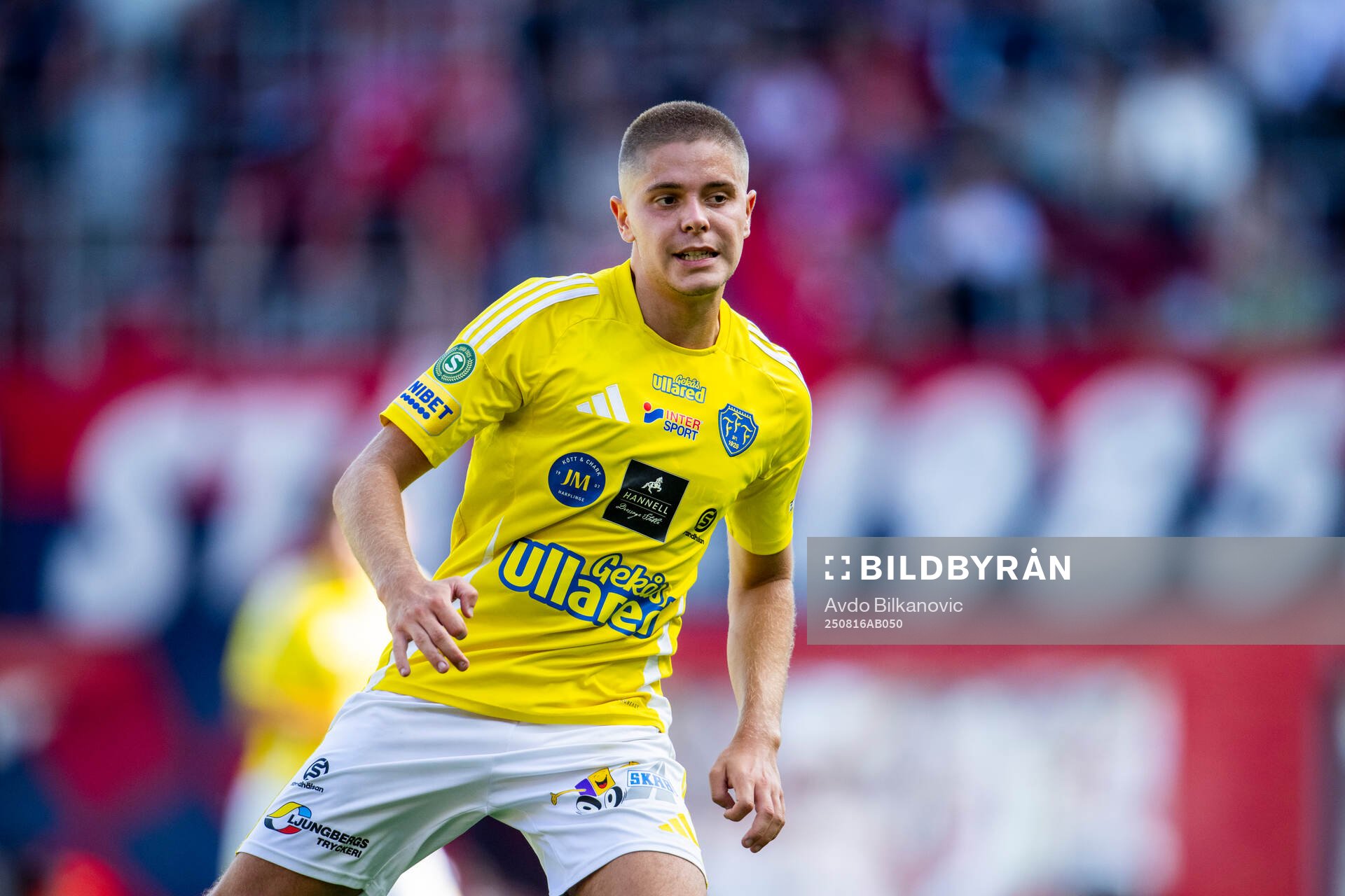 Falkenbergs Remo Gotfredsen Grgic