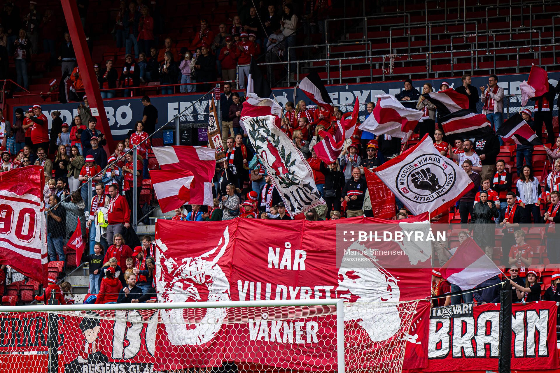 Spectators in the stands