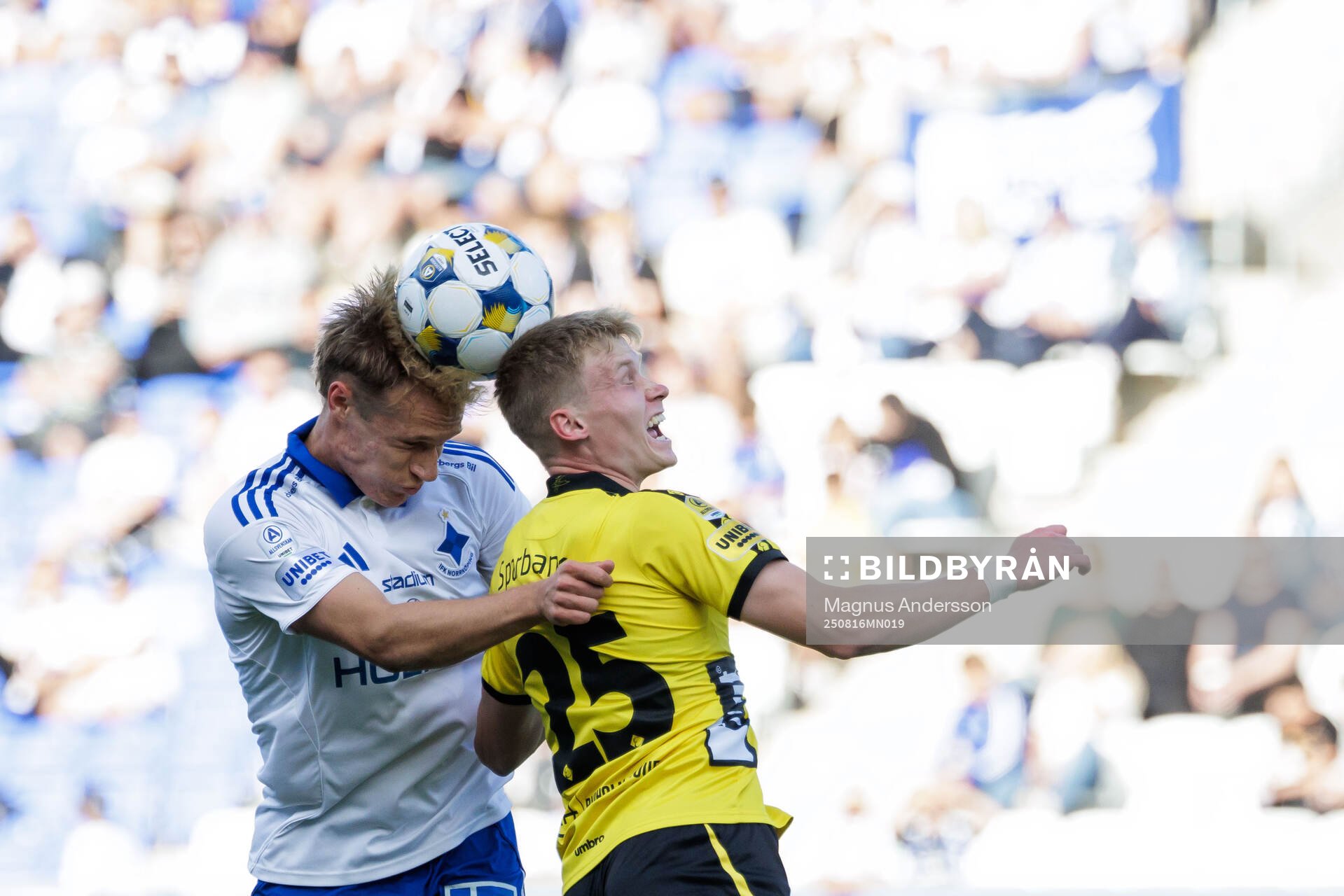 IFK Norrköpings Marcus Baggesen och Elfsborgs Ari