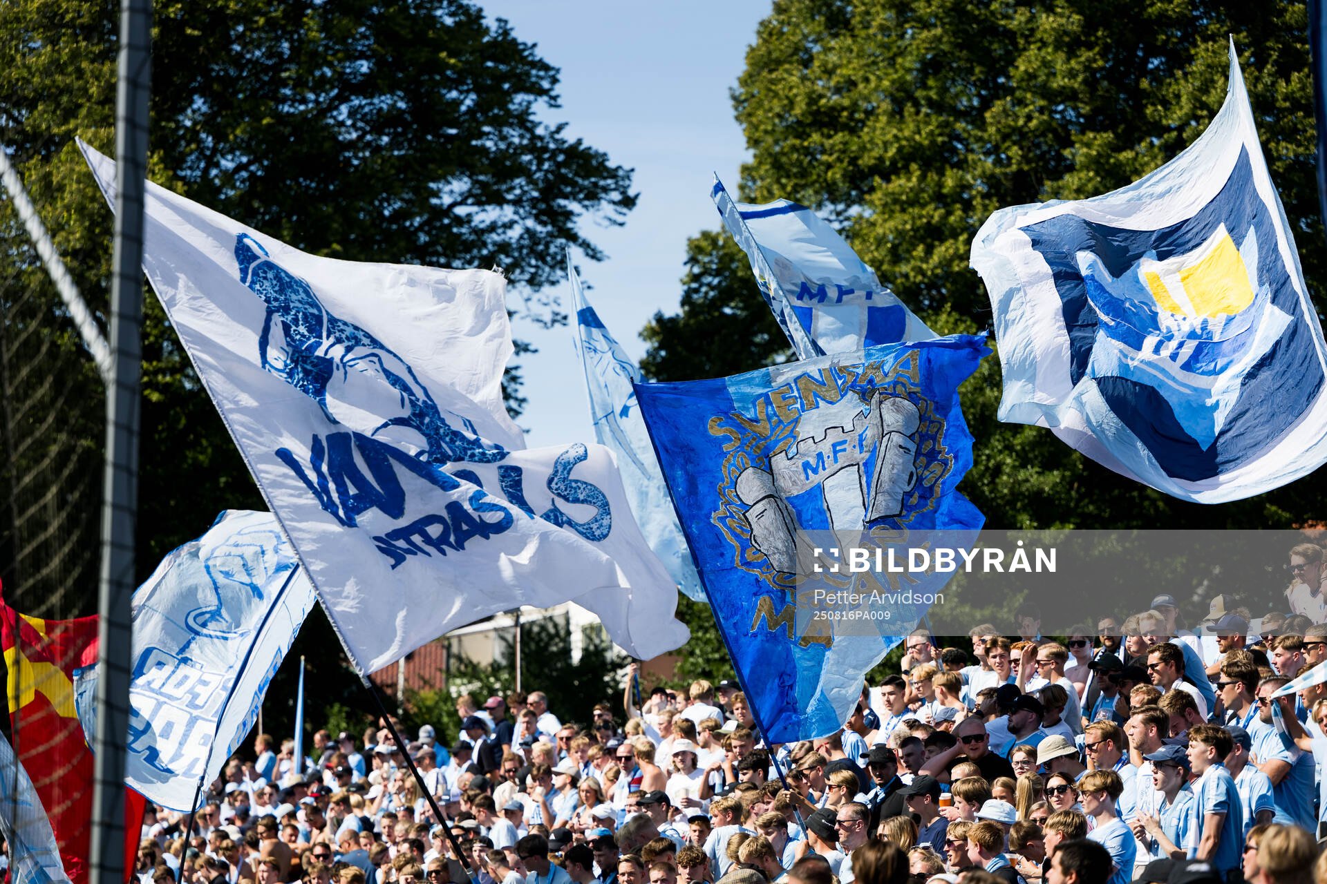 Malmö FFs supportrar