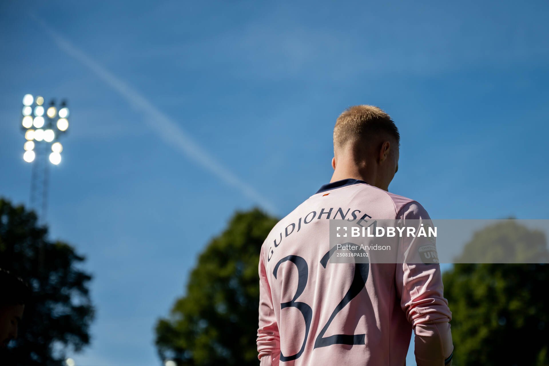 Malmö FFs Daniel Gudjohnsen