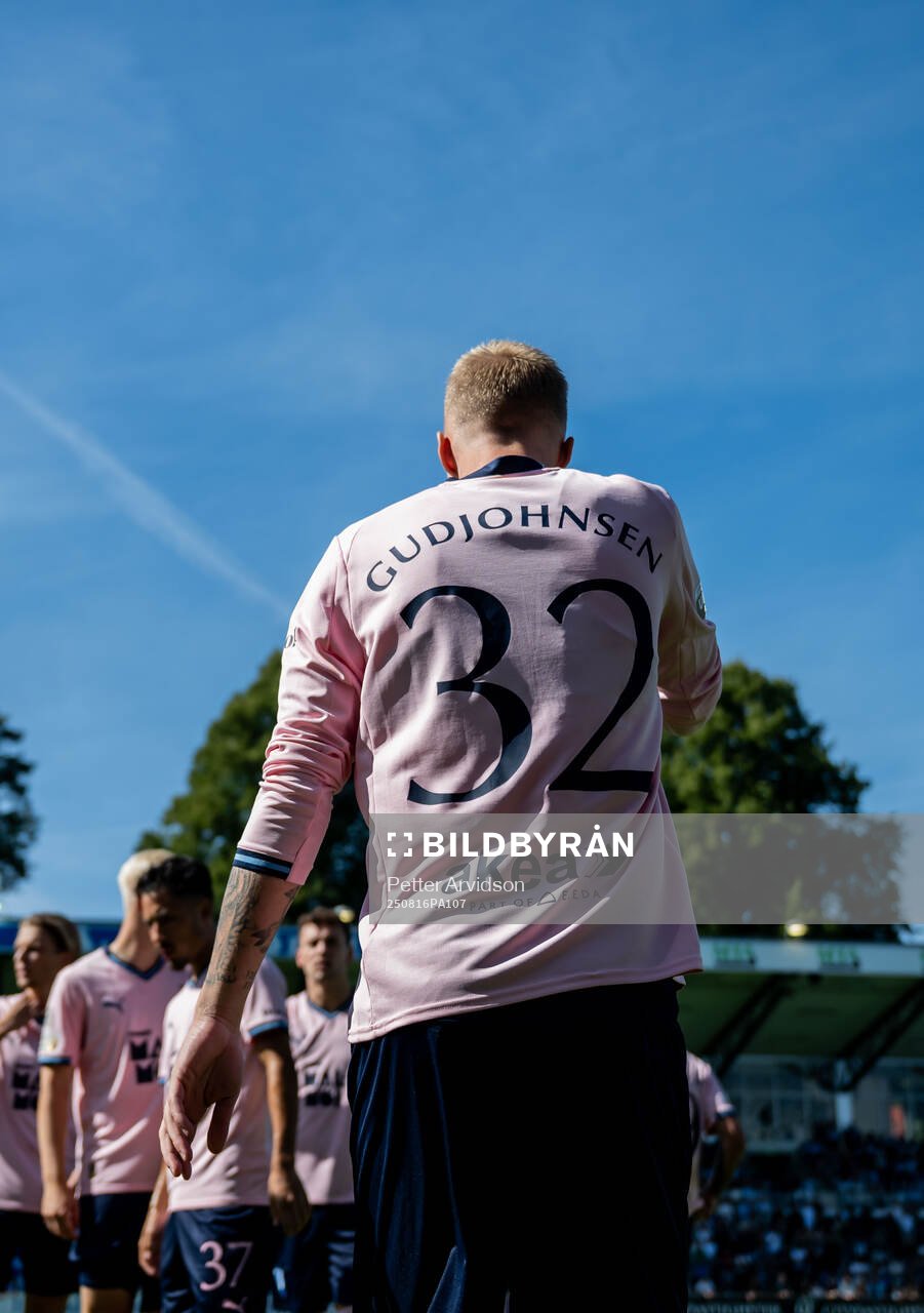 Malmö FFs Daniel Gudjohnsen