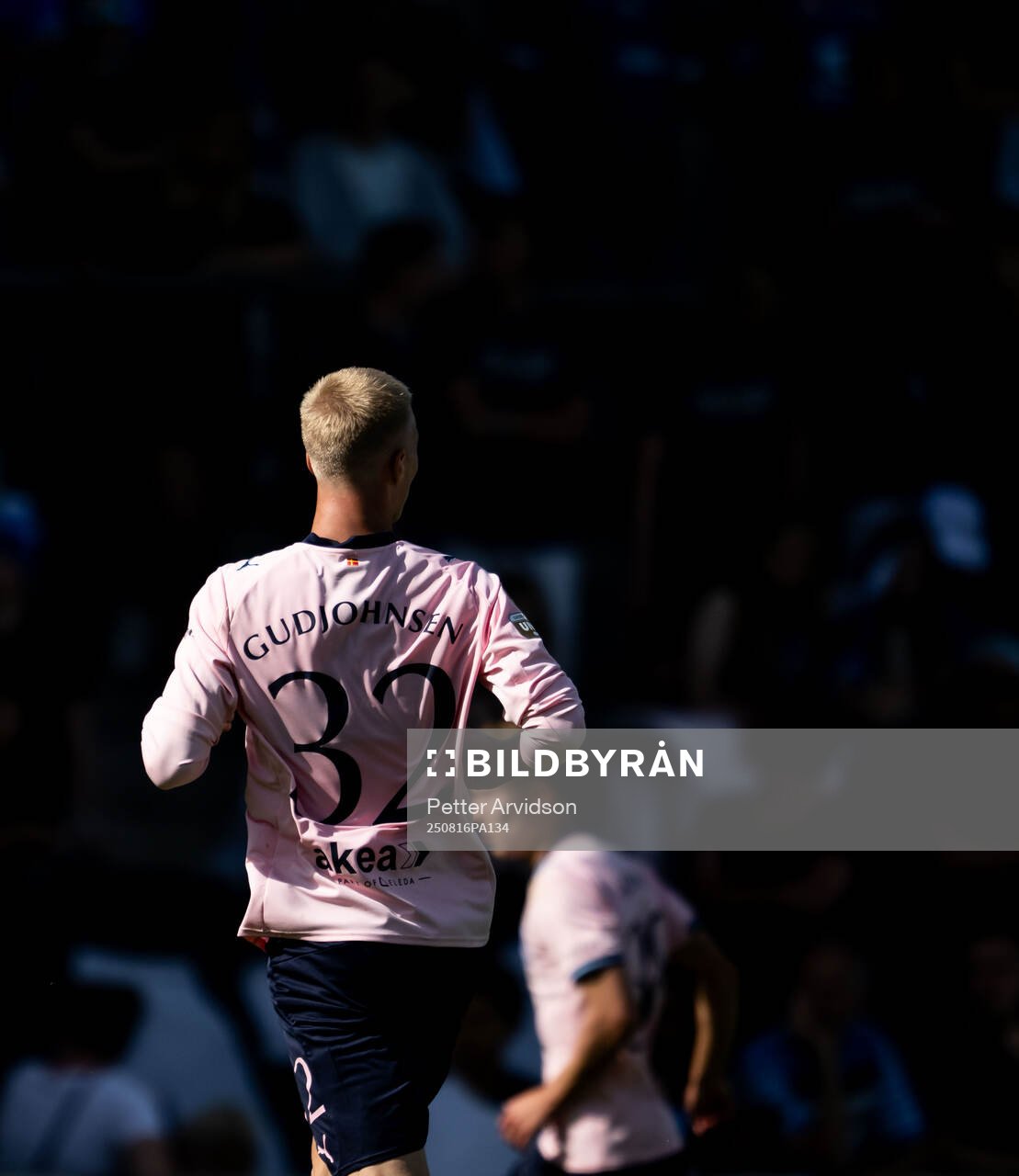 Malmö FFs Daniel Gudjohnsen