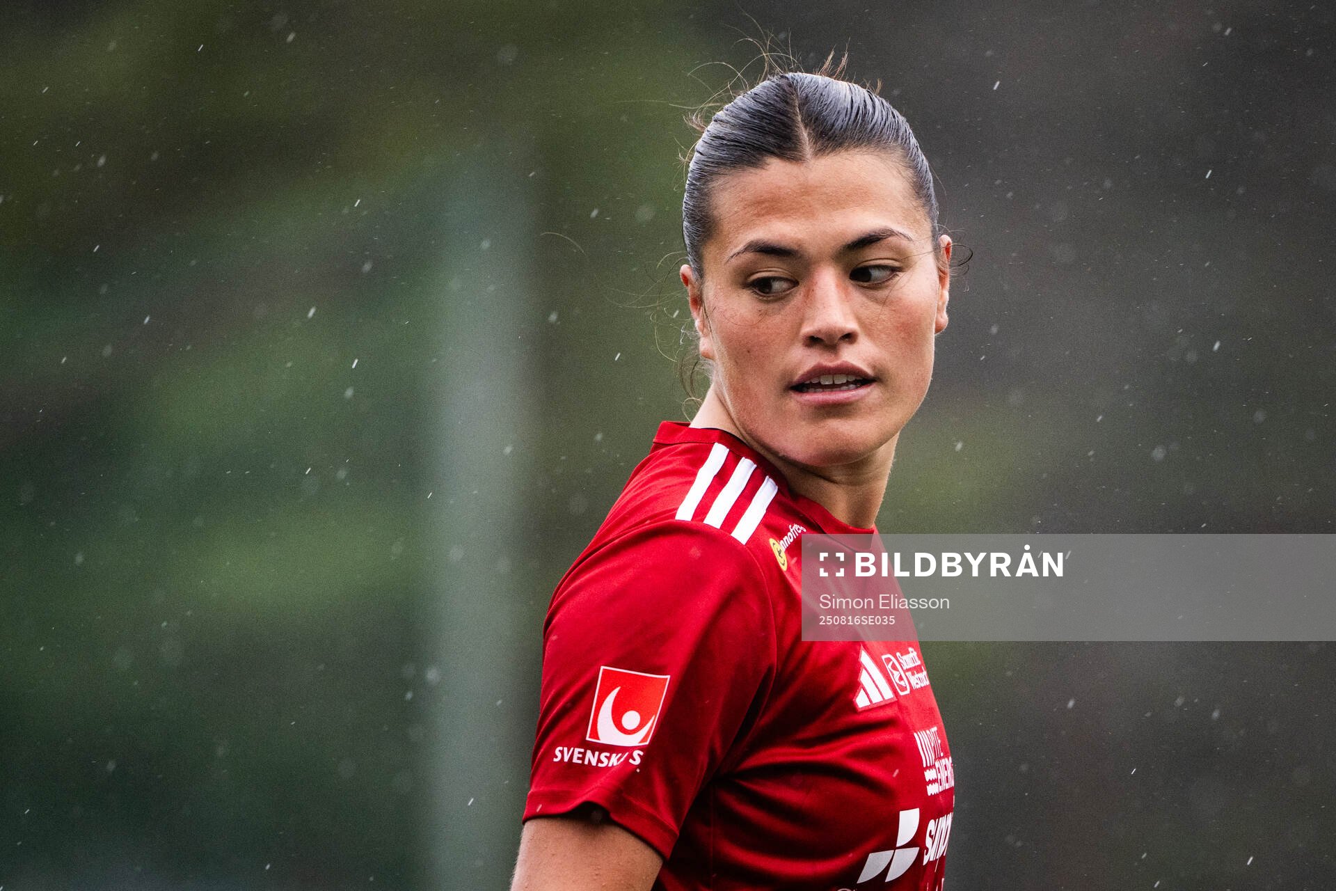 Piteås Jane Lawson Willis