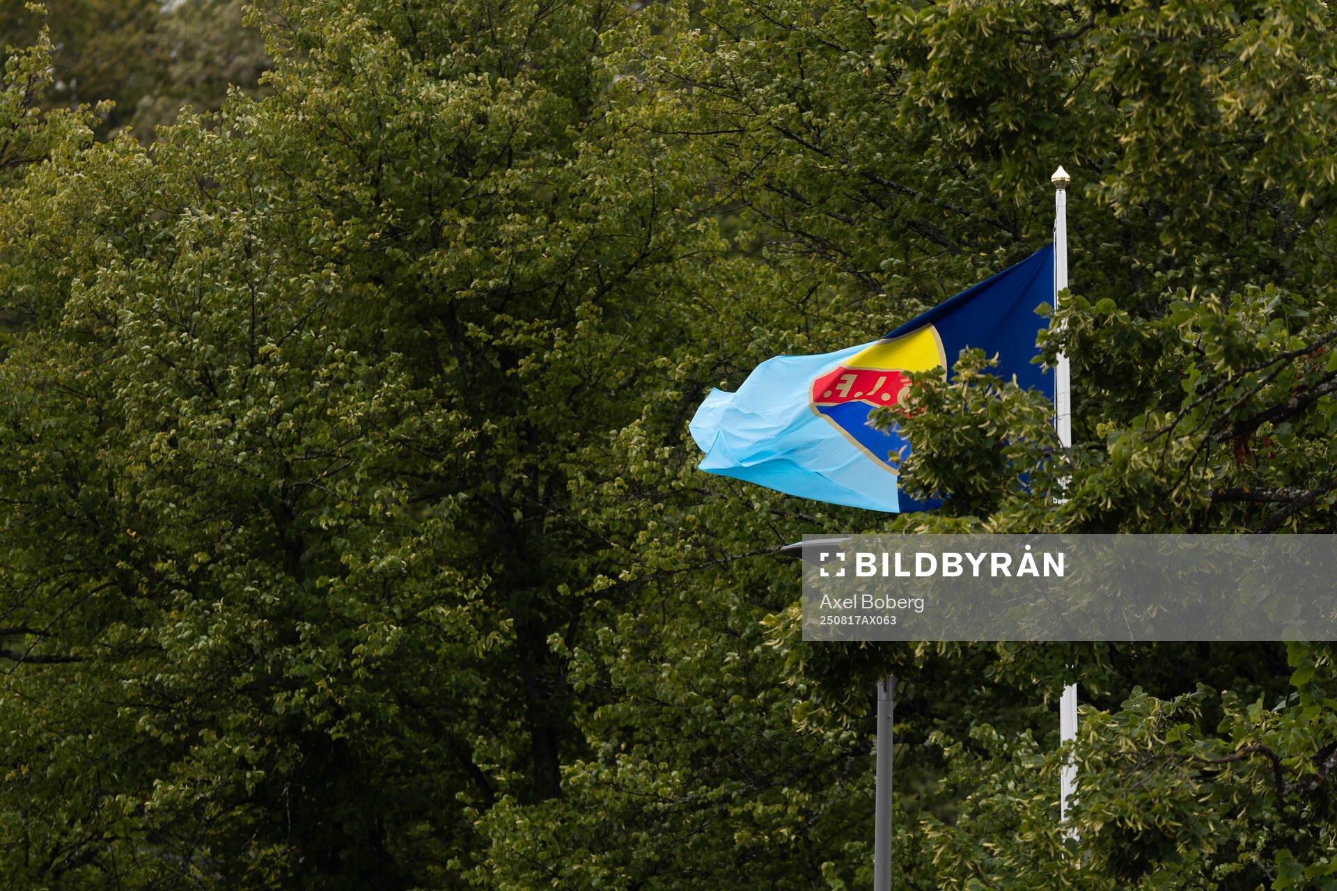 Djurgårdens flagga